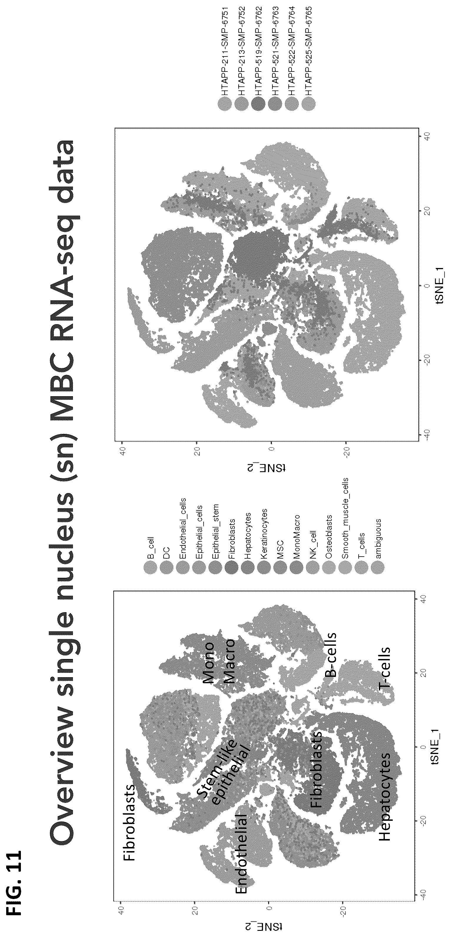 Patent US12165747 Figure 11 – Molecular spatial mapping of metastatic tumor microenvironment