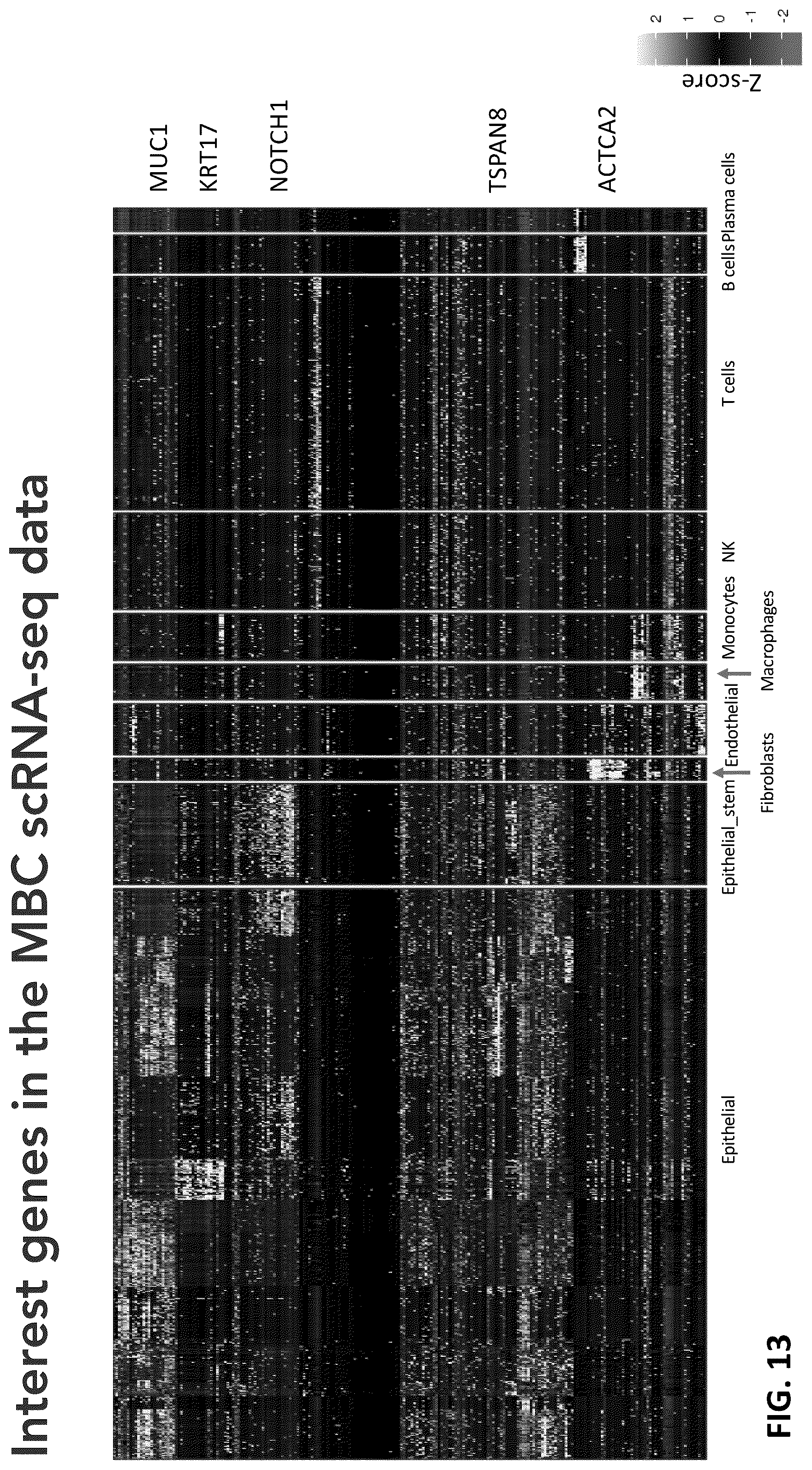 Patent US12165747 Figure 13 – Molecular spatial mapping of metastatic tumor microenvironment