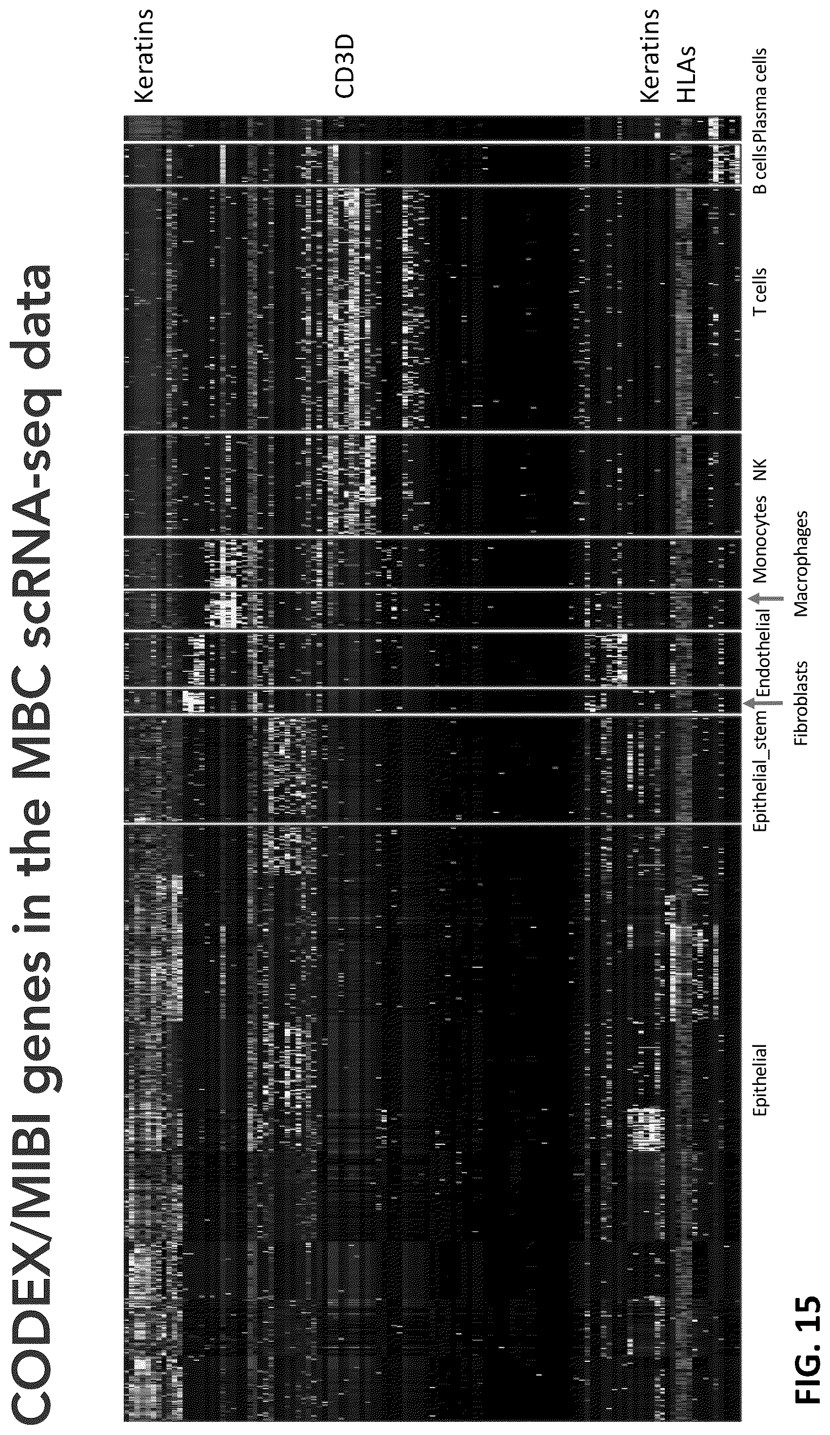 Patent US12165747 Figure 15 – Molecular spatial mapping of metastatic tumor microenvironment