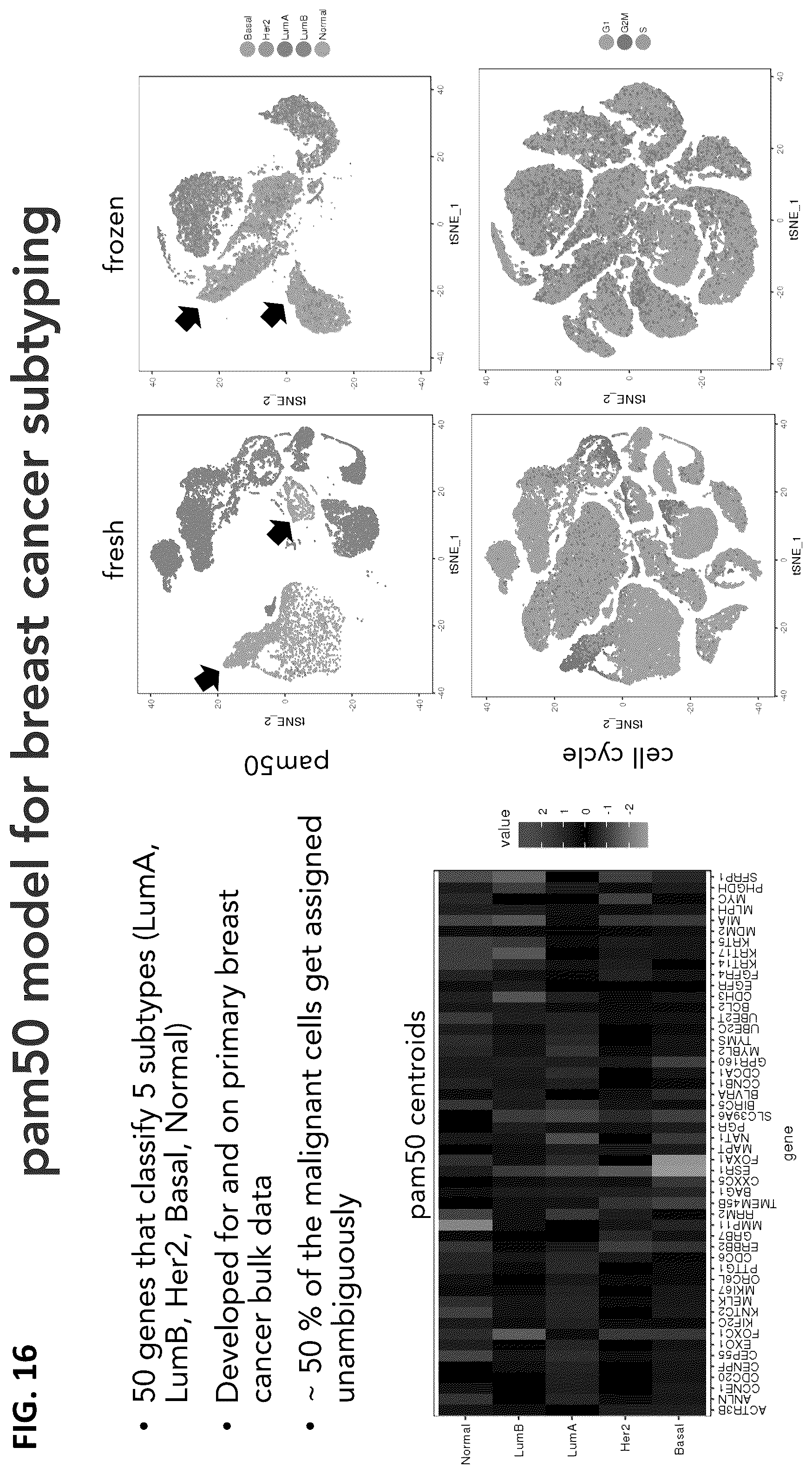 Patent US12165747 Figure 16 – Molecular spatial mapping of metastatic tumor microenvironment