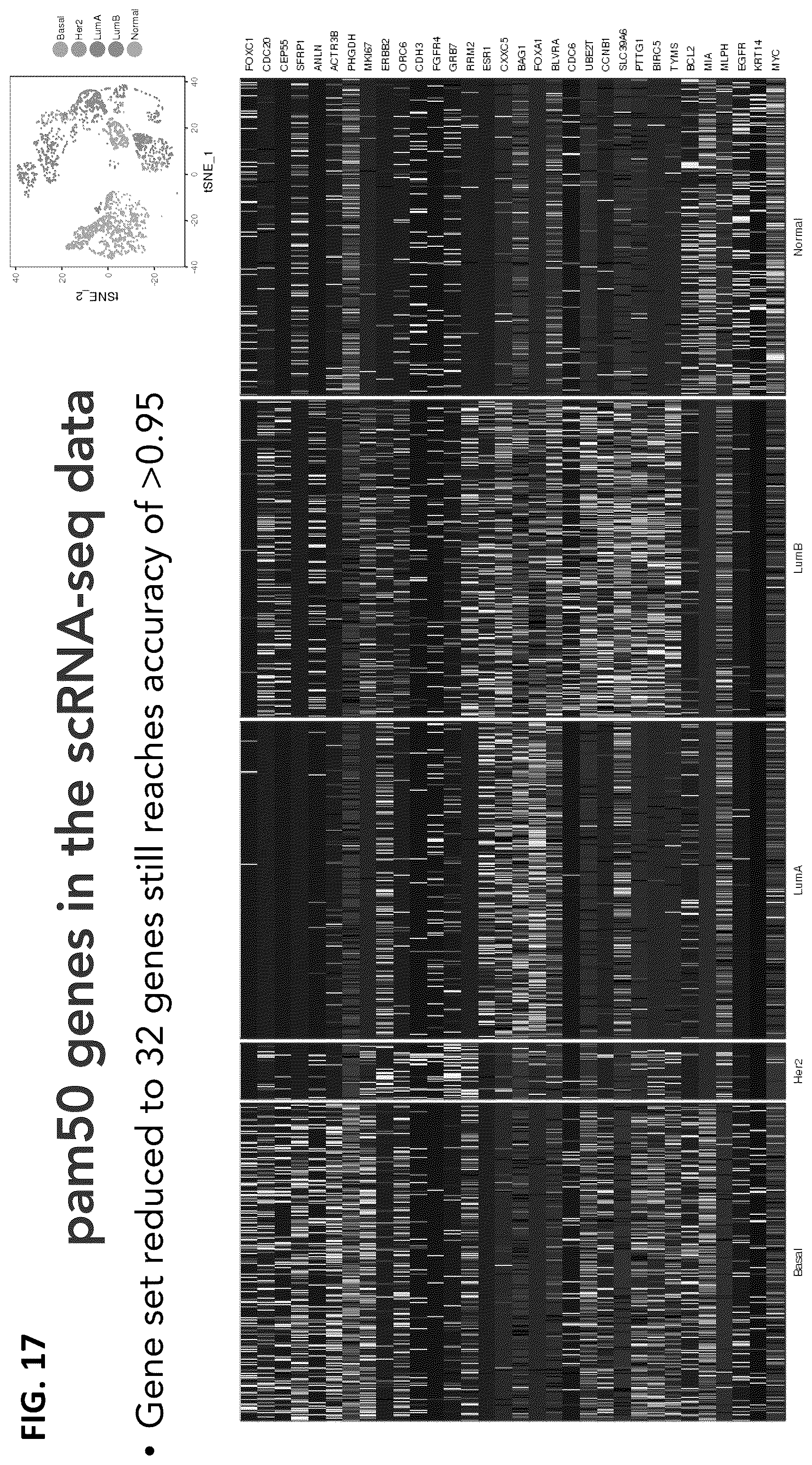 Patent US12165747 Figure 17 – Molecular spatial mapping of metastatic tumor microenvironment