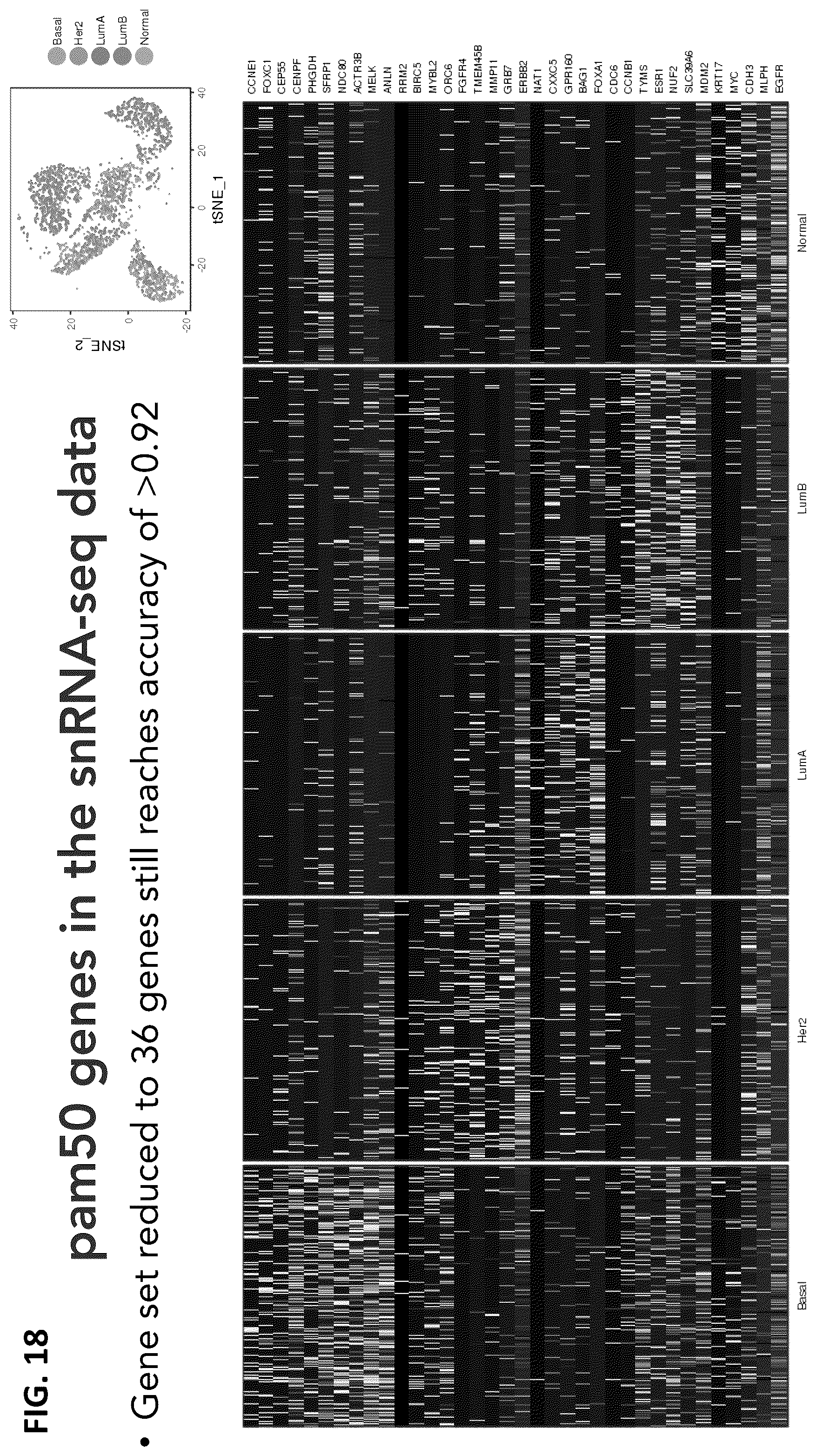 Patent US12165747 Figure 18 – Molecular spatial mapping of metastatic tumor microenvironment