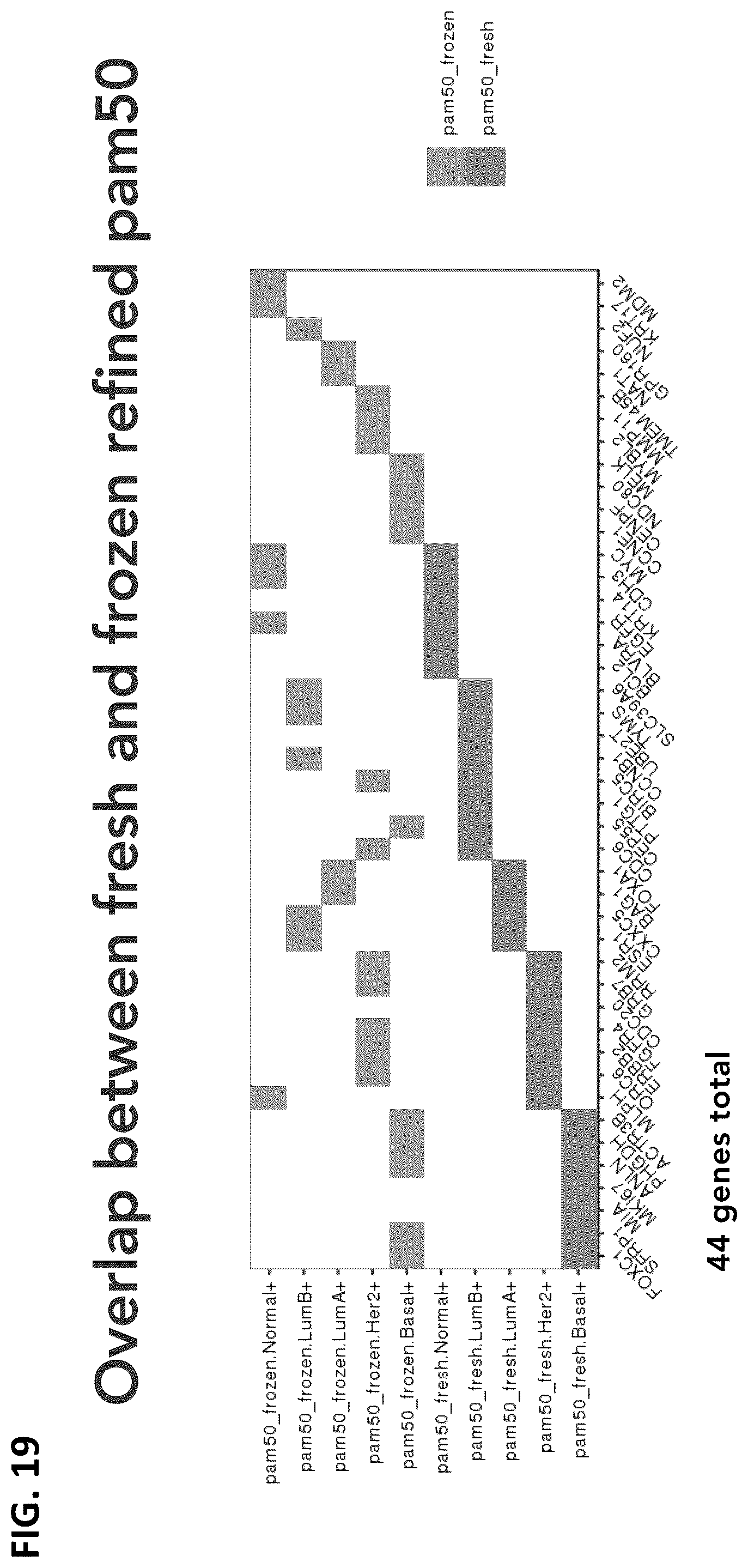 Patent US12165747 Figure 19 – Molecular spatial mapping of metastatic tumor microenvironment