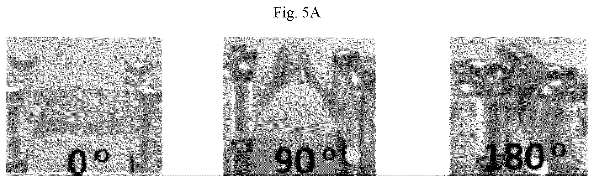 Patent US12165807 Figure 16 – Gel electrolyte supercapacitor