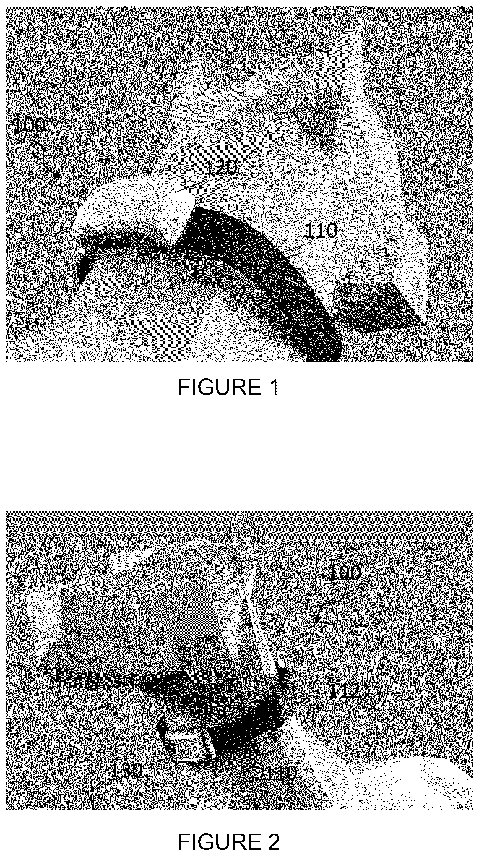 Patent US12167716 Figure 1 – Animal collar assembly