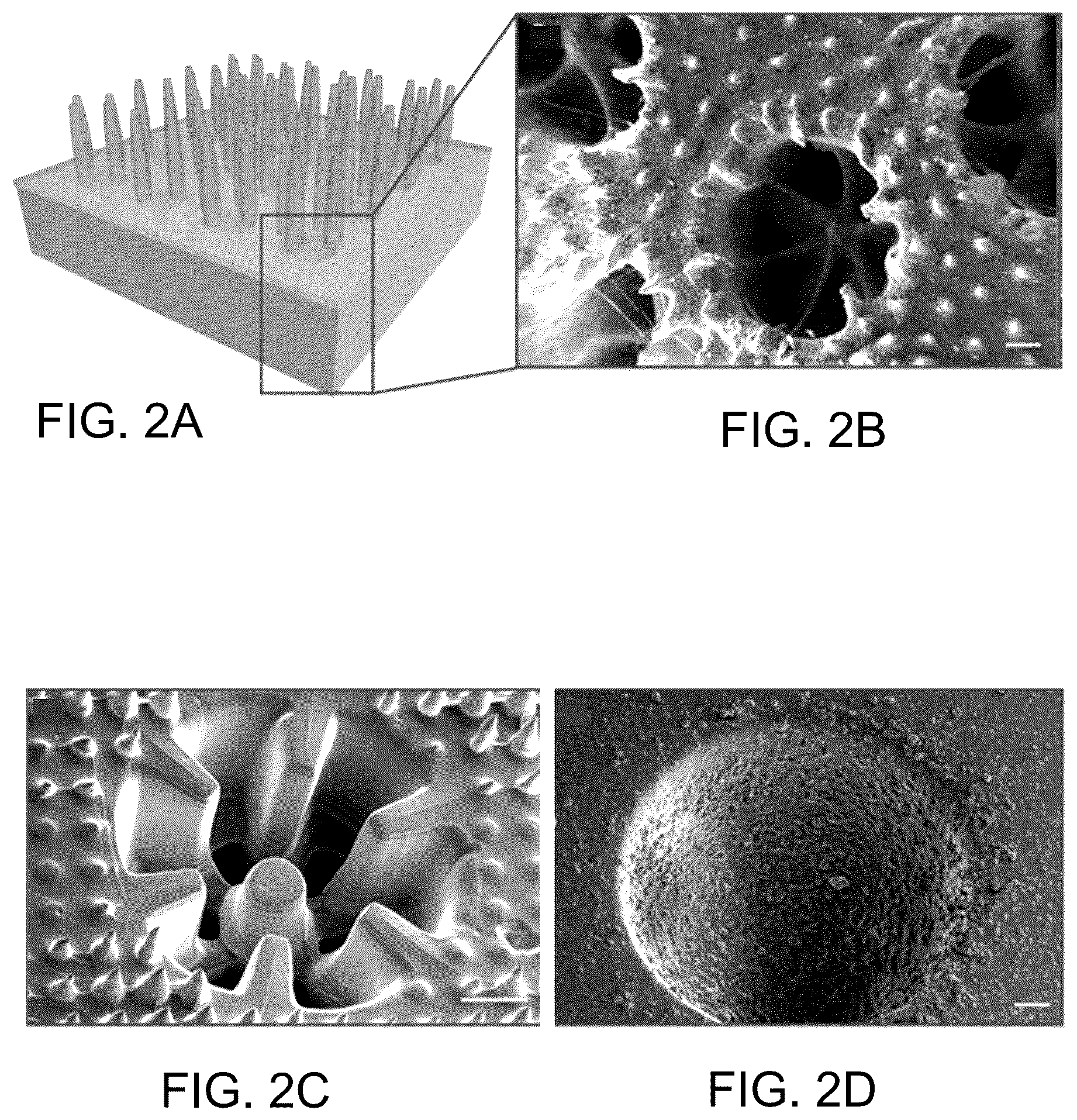 Patent US12167720 Figure 2 – Structure and method for promoting microalgae growth