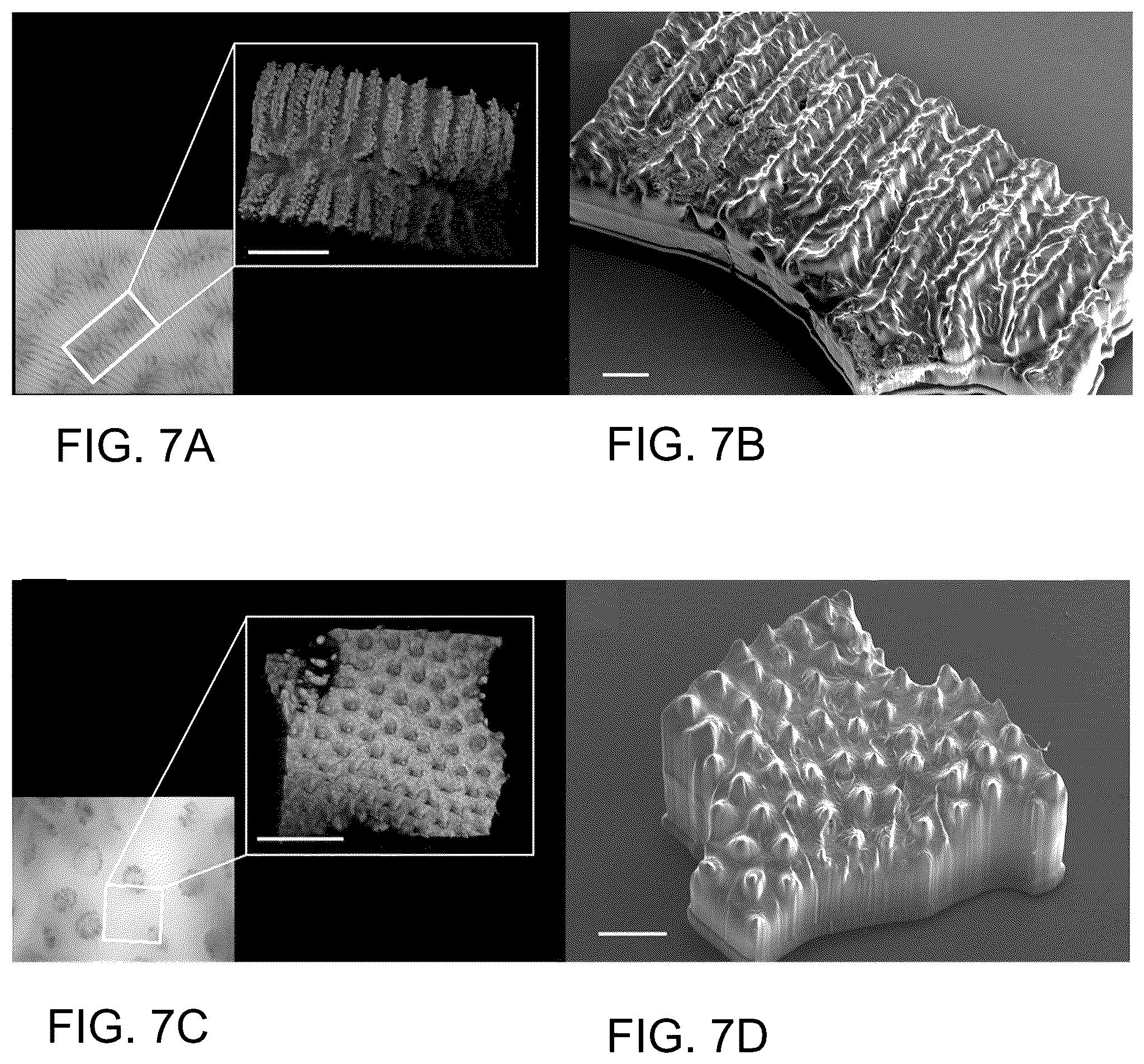 Patent US12167720 Figure 7 – Structure and method for promoting microalgae growth