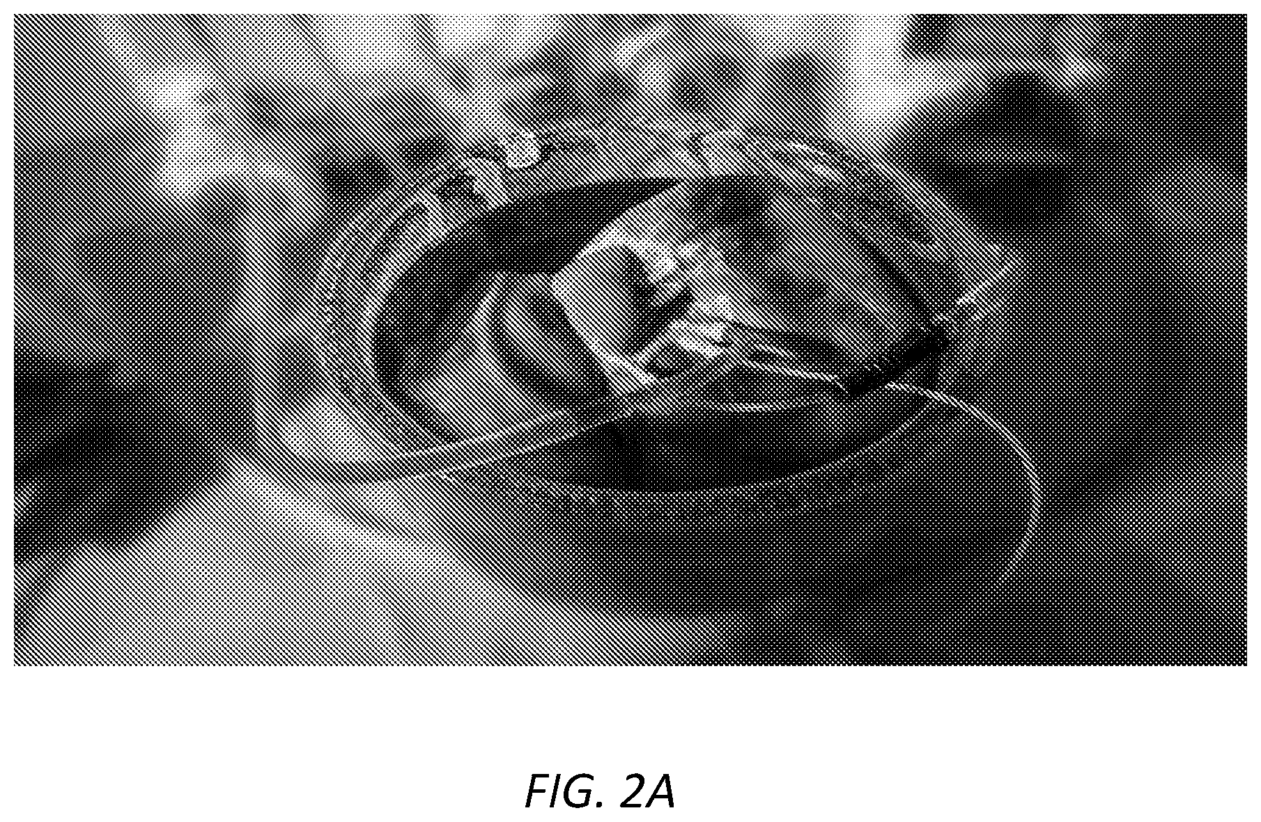 Patent US12167729 Figure 2 – Cryopreservation of tissues and organs
