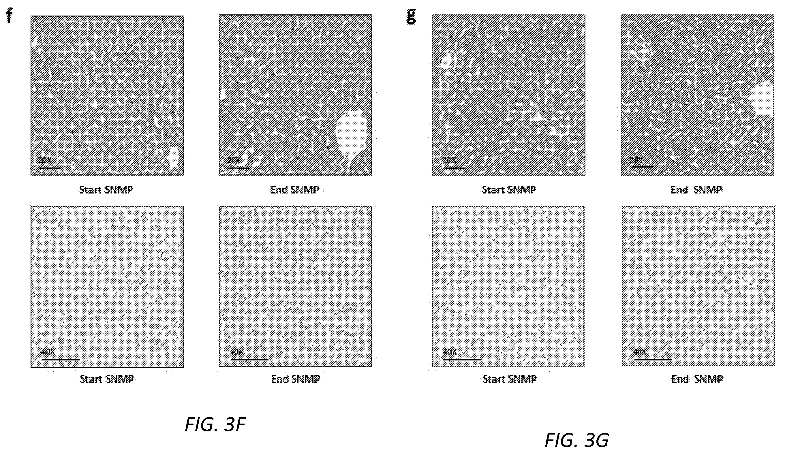 Patent US12167729 Figure 7 – Cryopreservation of tissues and organs