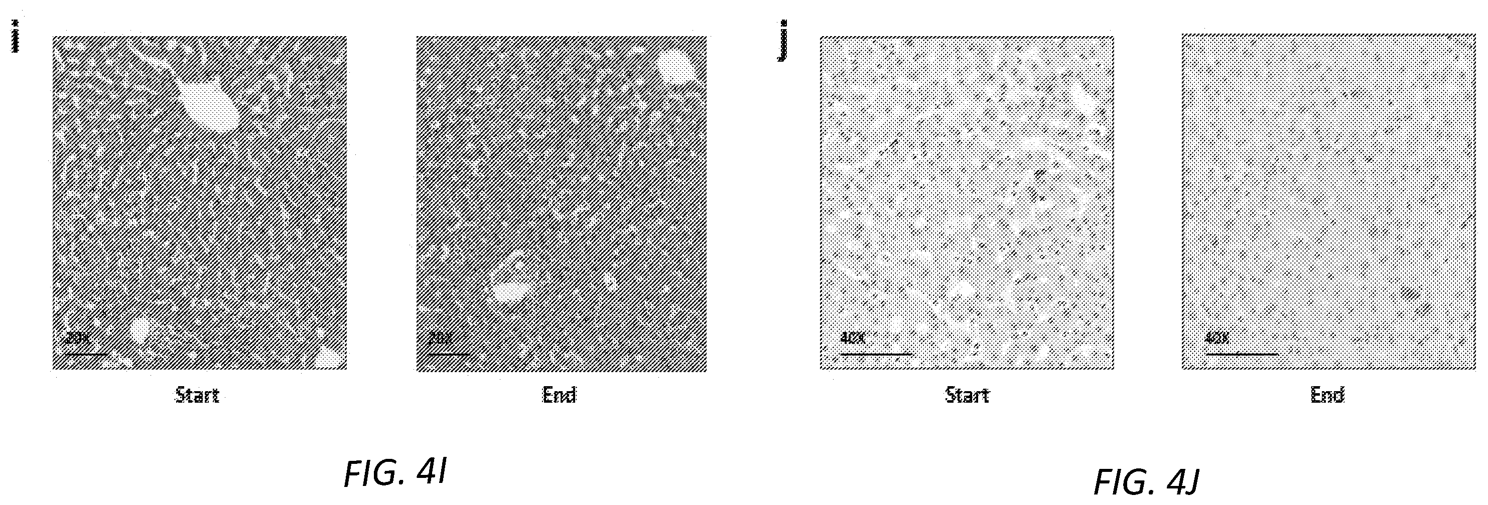 Patent US12167729 Figure 11 – Cryopreservation of tissues and organs