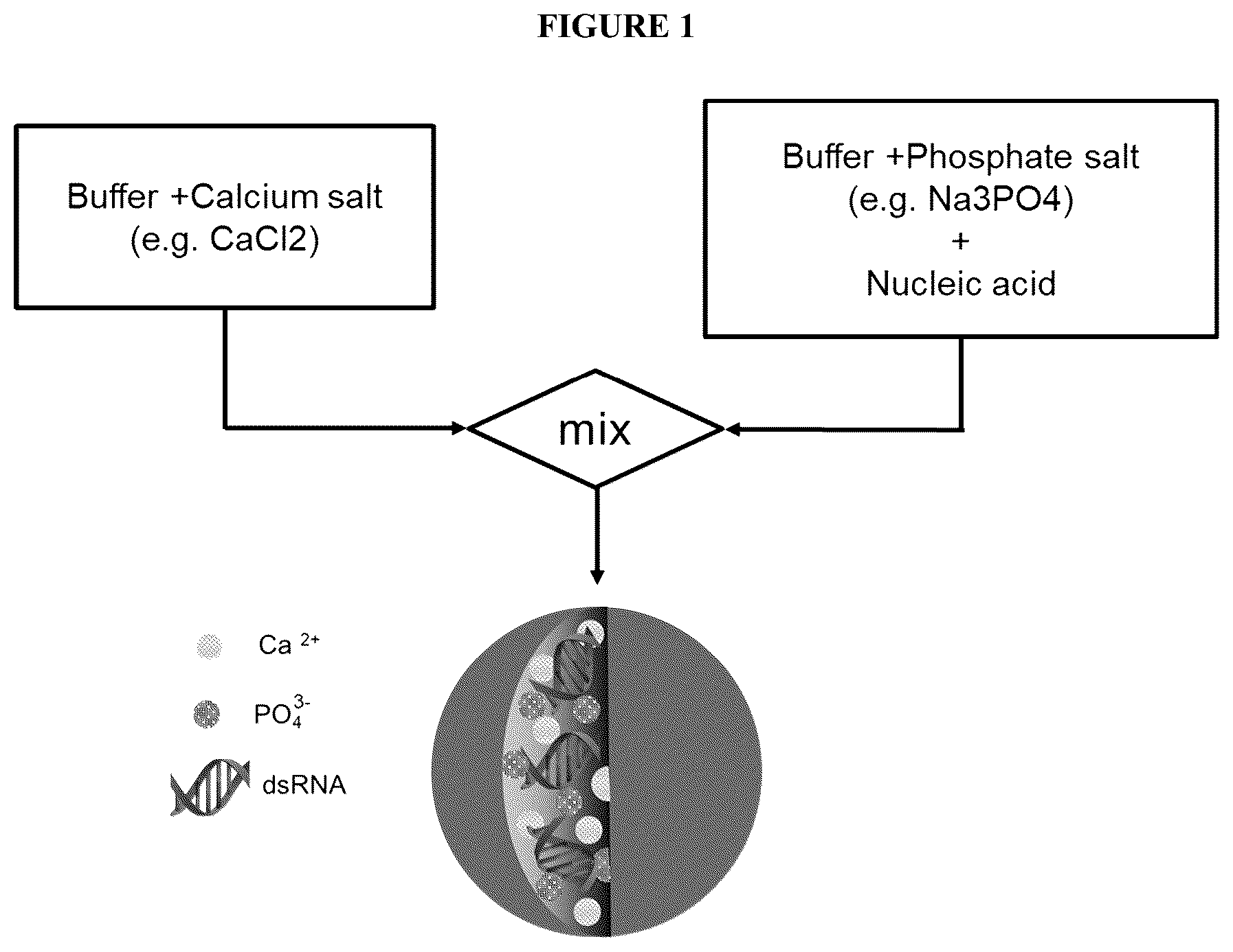 Patent US12167732 Figure 1 – Alkali-resistant calcium phosphate/nucleic acids hybrid carrier for pest control and method to produce the particles