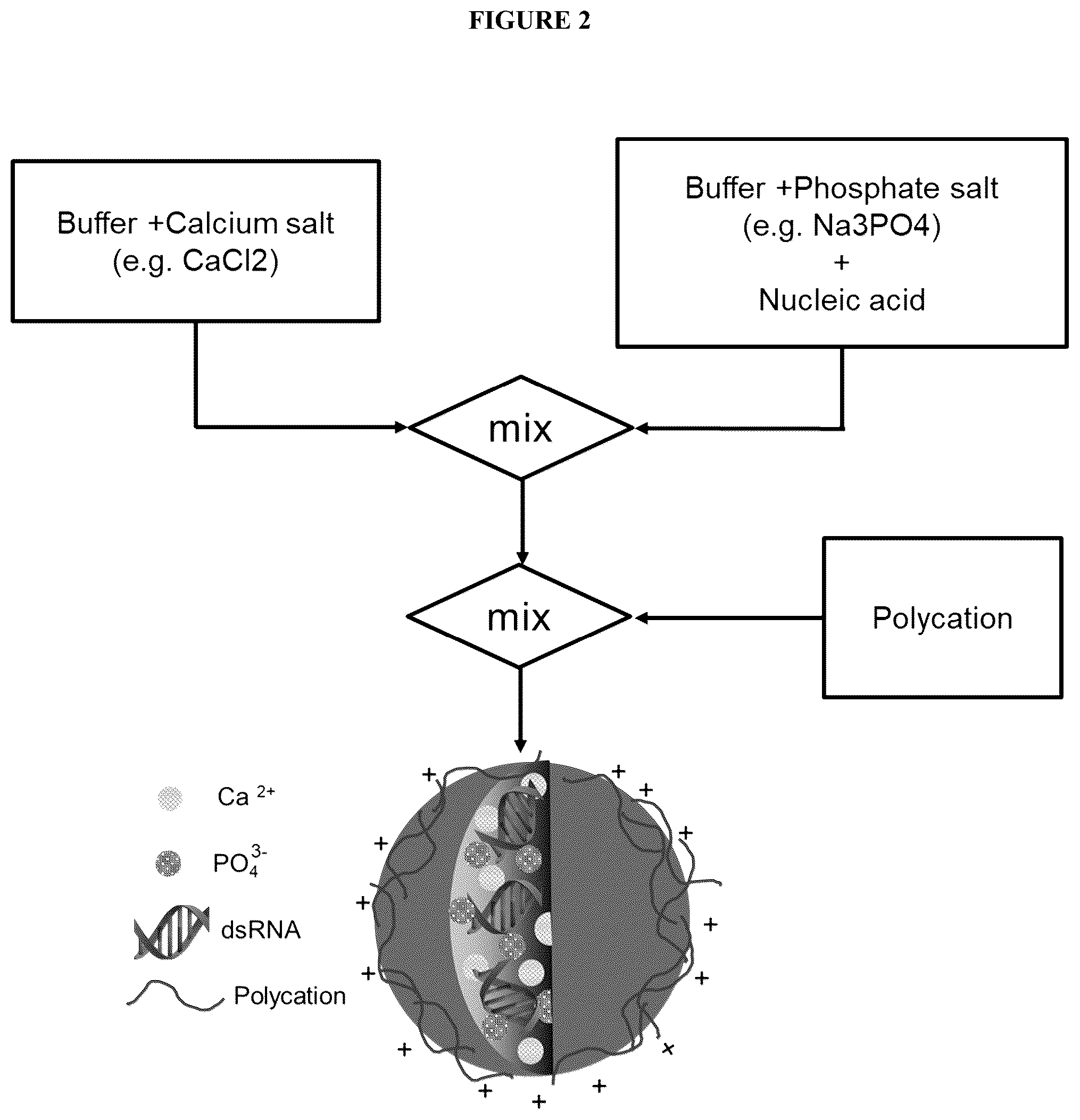 Patent US12167732 Figure 2 – Alkali-resistant calcium phosphate/nucleic acids hybrid carrier for pest control and method to produce the particles
