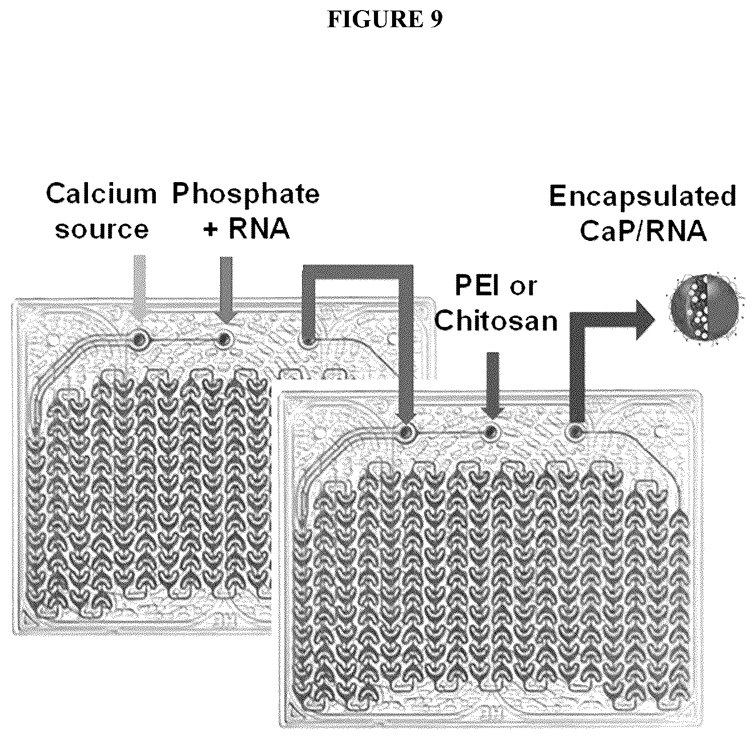 Patent US12167732 Figure 9 – Alkali-resistant calcium phosphate/nucleic acids hybrid carrier for pest control and method to produce the particles