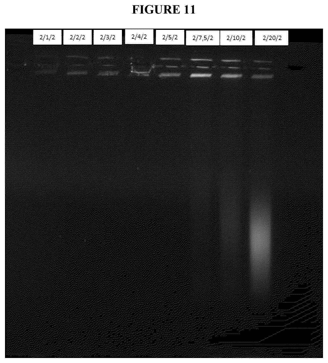 Patent US12167732 Figure 11 – Alkali-resistant calcium phosphate/nucleic acids hybrid carrier for pest control and method to produce the particles
