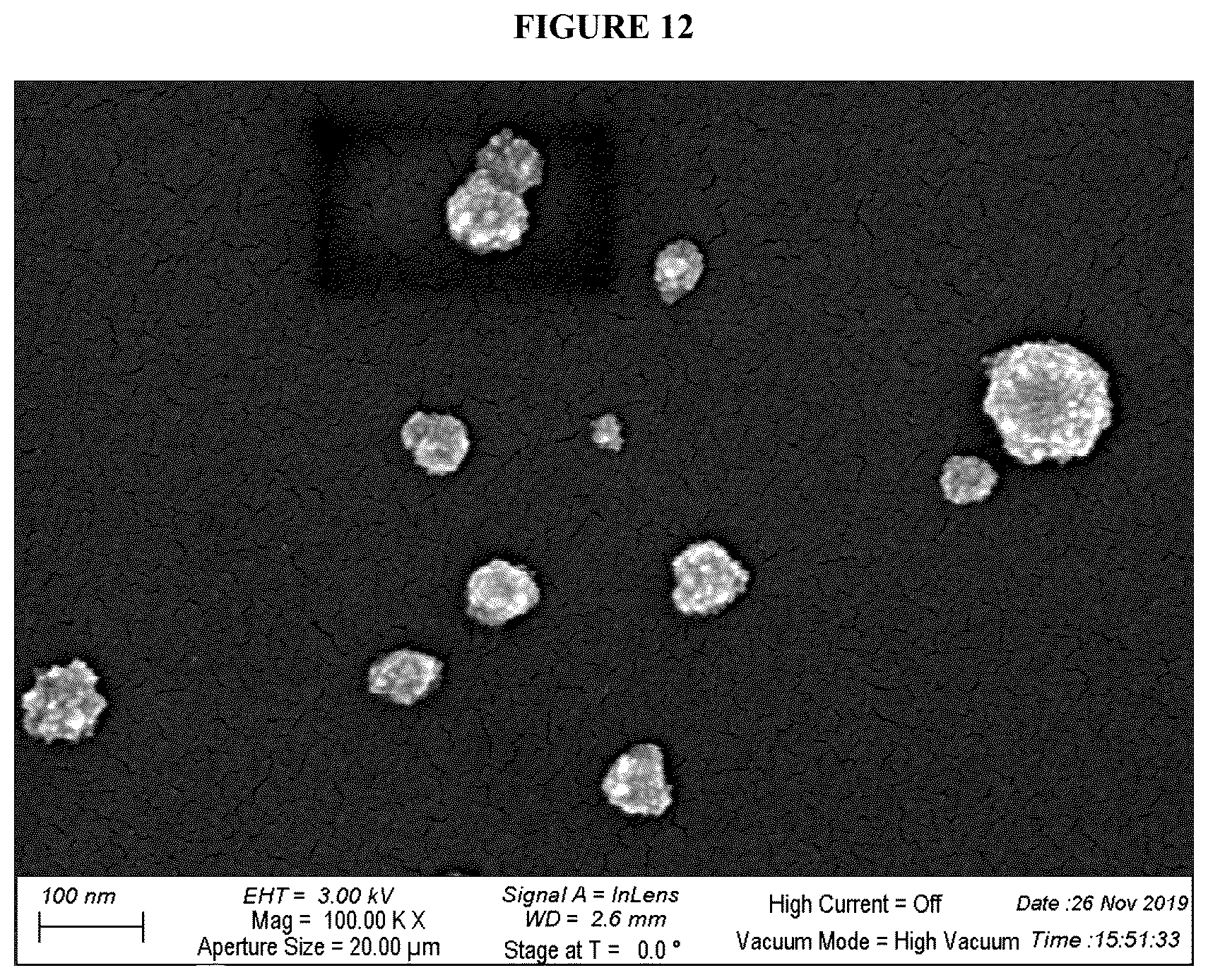 Patent US12167732 Figure 12 – Alkali-resistant calcium phosphate/nucleic acids hybrid carrier for pest control and method to produce the particles