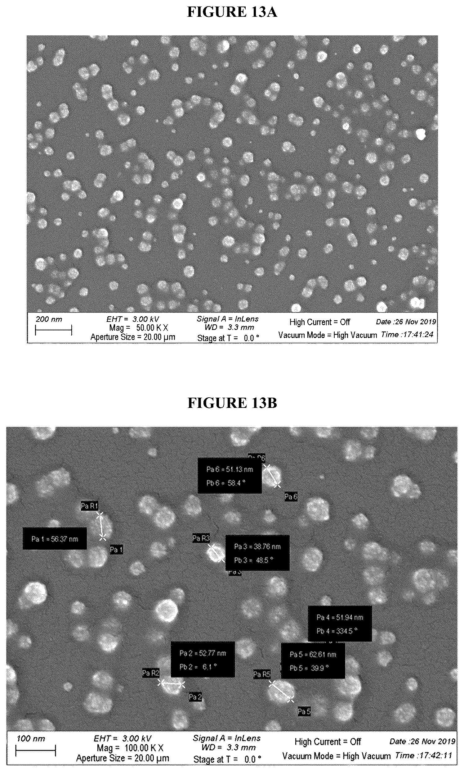 Patent US12167732 Figure 13 – Alkali-resistant calcium phosphate/nucleic acids hybrid carrier for pest control and method to produce the particles