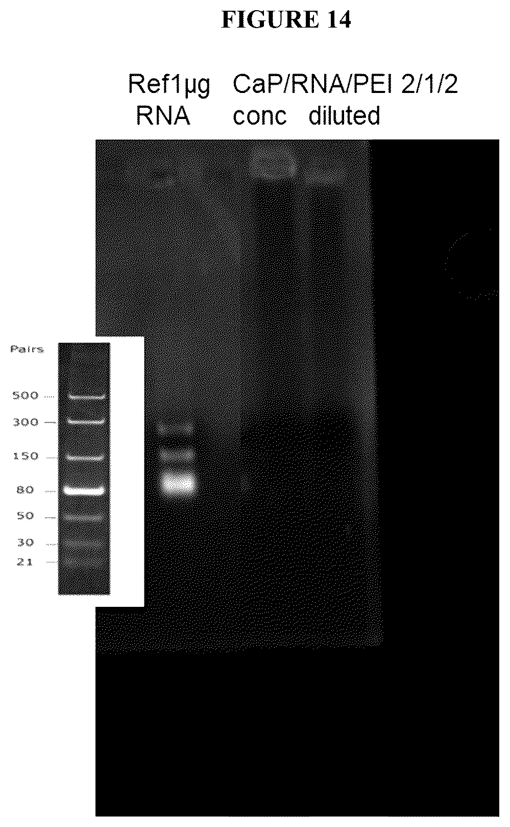 Patent US12167732 Figure 14 – Alkali-resistant calcium phosphate/nucleic acids hybrid carrier for pest control and method to produce the particles