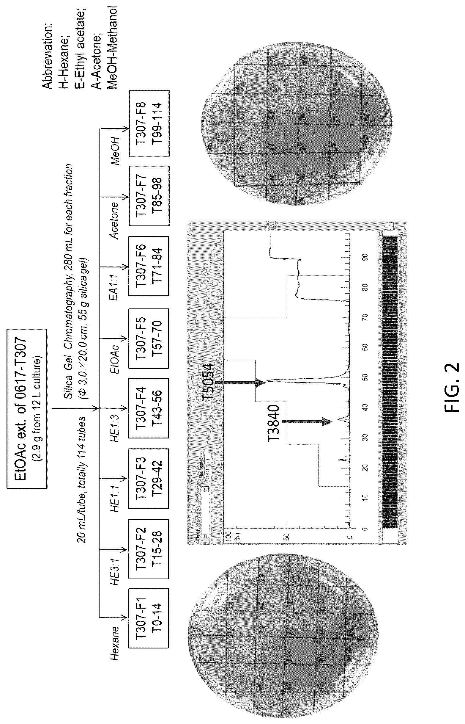 Patent US12167733 Figure 2 – Pseudomonas strains and their metabolites to control plant diseases
