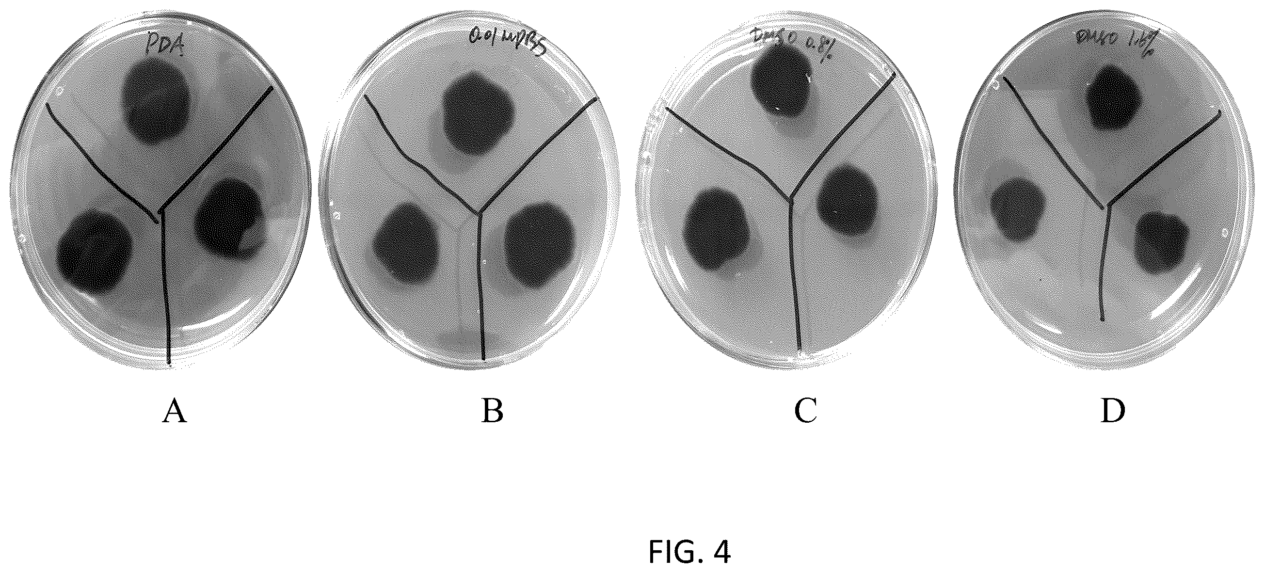 Patent US12167733 Figure 5 – Pseudomonas strains and their metabolites to control plant diseases