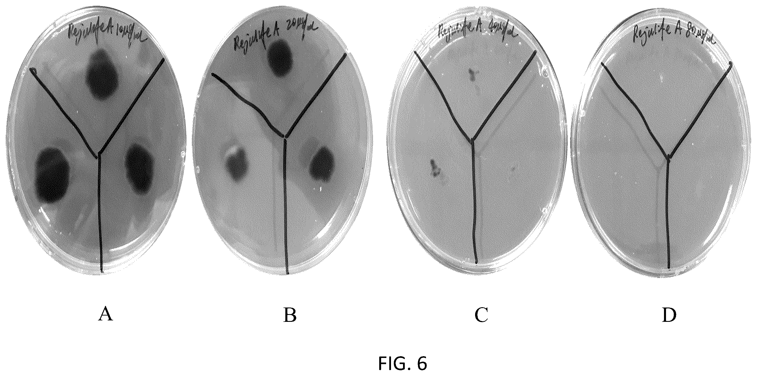 Patent US12167733 Figure 7 – Pseudomonas strains and their metabolites to control plant diseases