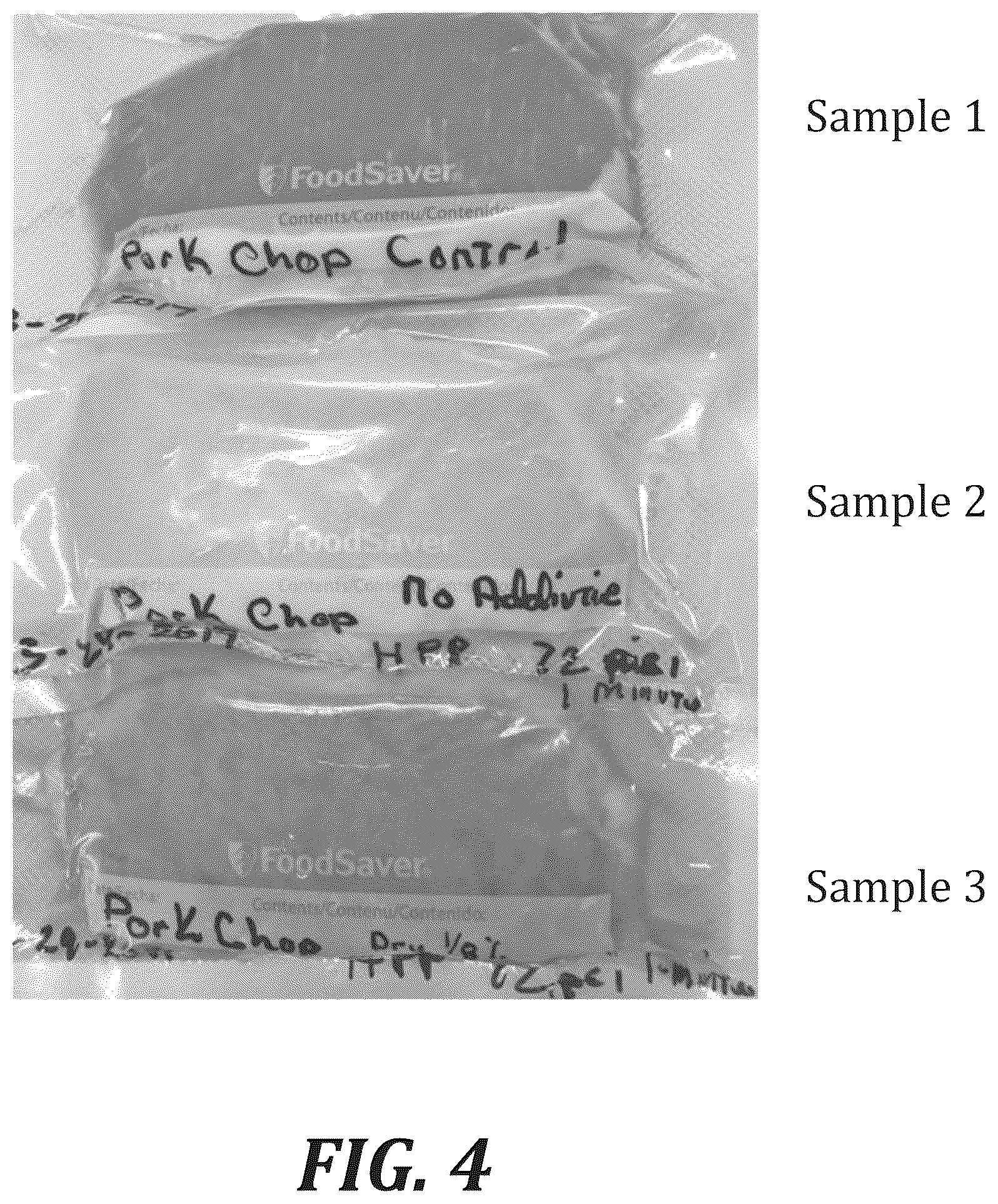 Patent US12167740 Figure 4 – Method of treating meat