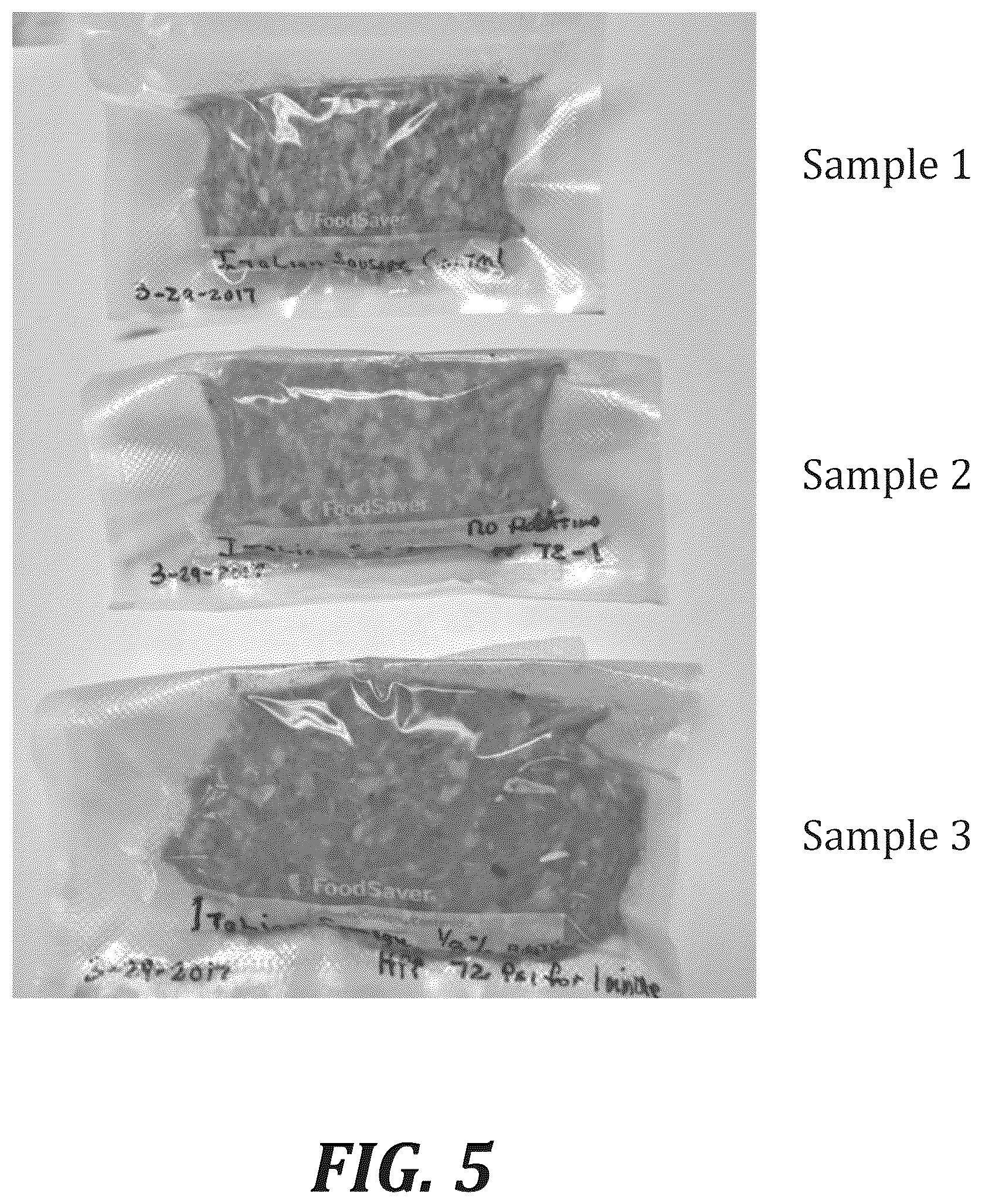 Patent US12167740 Figure 5 – Method of treating meat