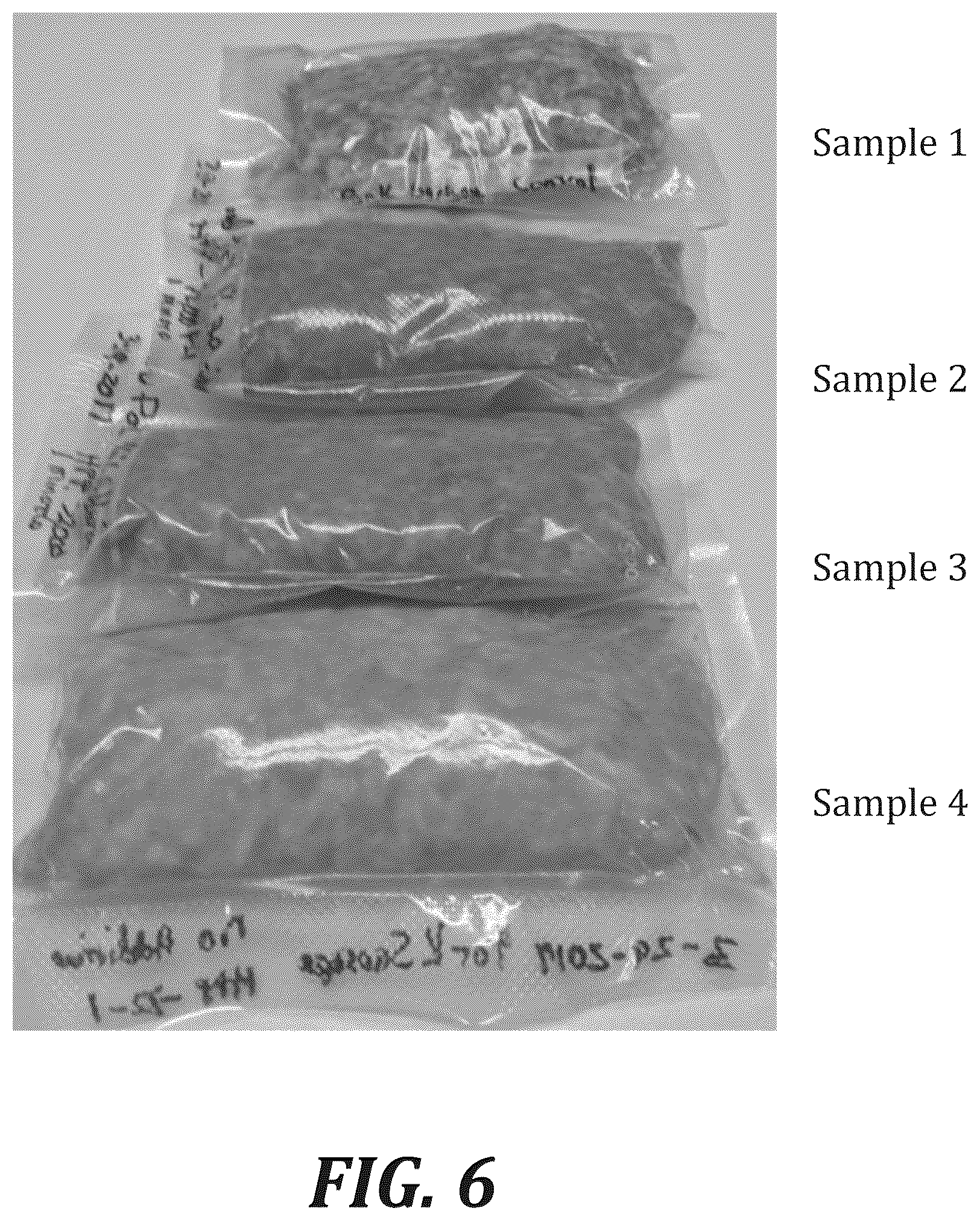 Patent US12167740 Figure 6 – Method of treating meat