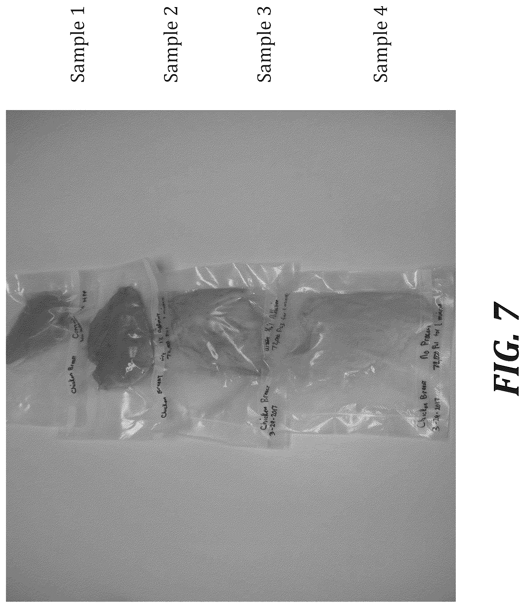 Patent US12167740 Figure 7 – Method of treating meat