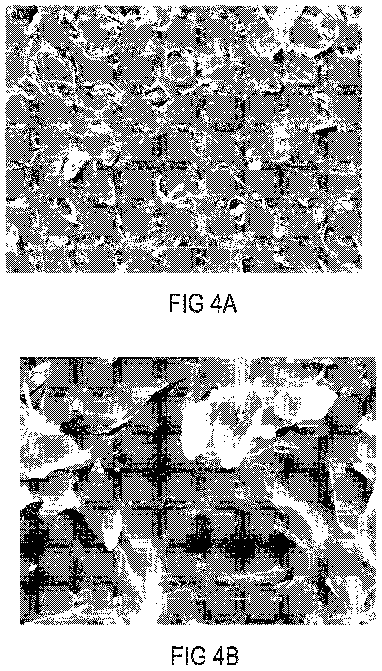 Patent US12167743 Figure 10 – Oral product