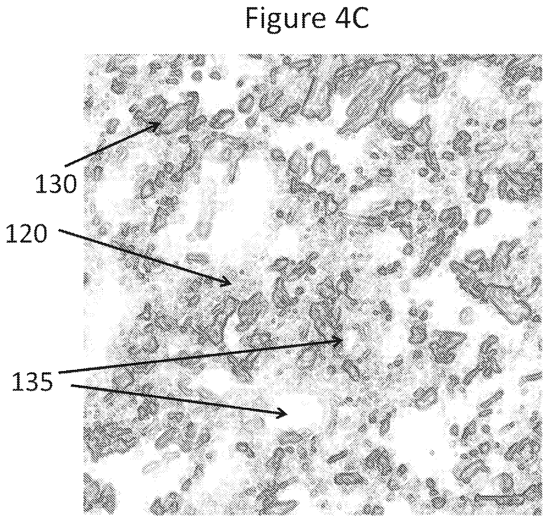 Patent US12167743 Figure 11 – Oral product