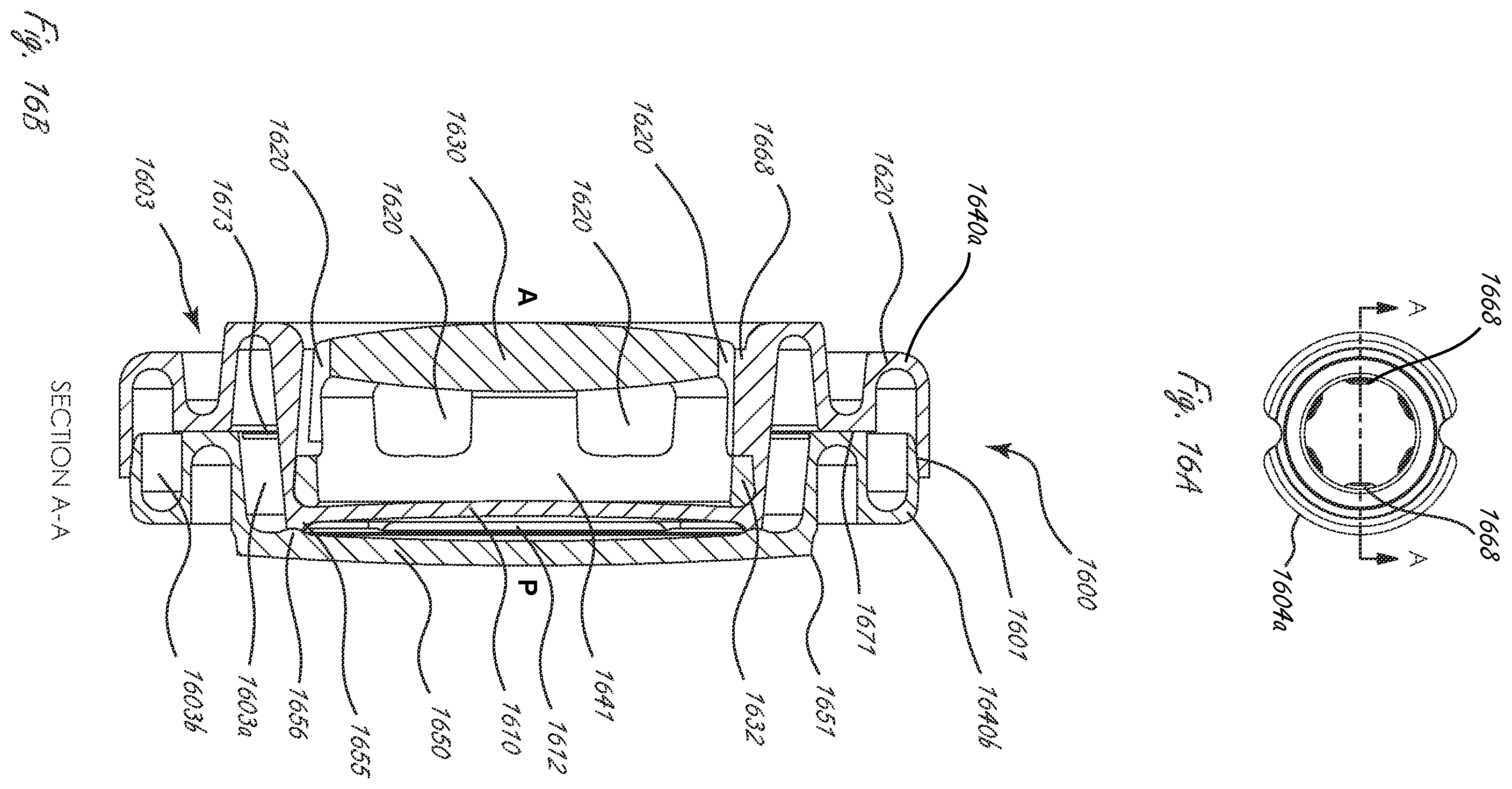 Patent US12167960 Figure 17 – Multi-piece accommodating intraocular lenses and methods for making and using same