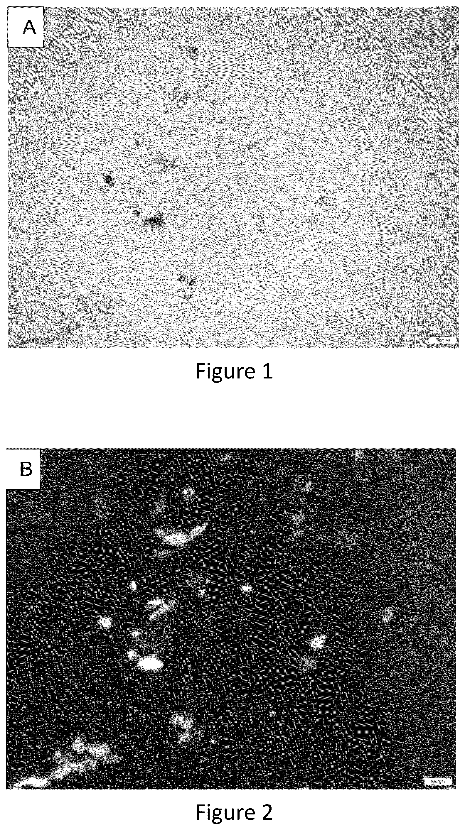 Patent US12167965 Figure 1 – Liquid collagen bioinks and methods to make and use collagen structures