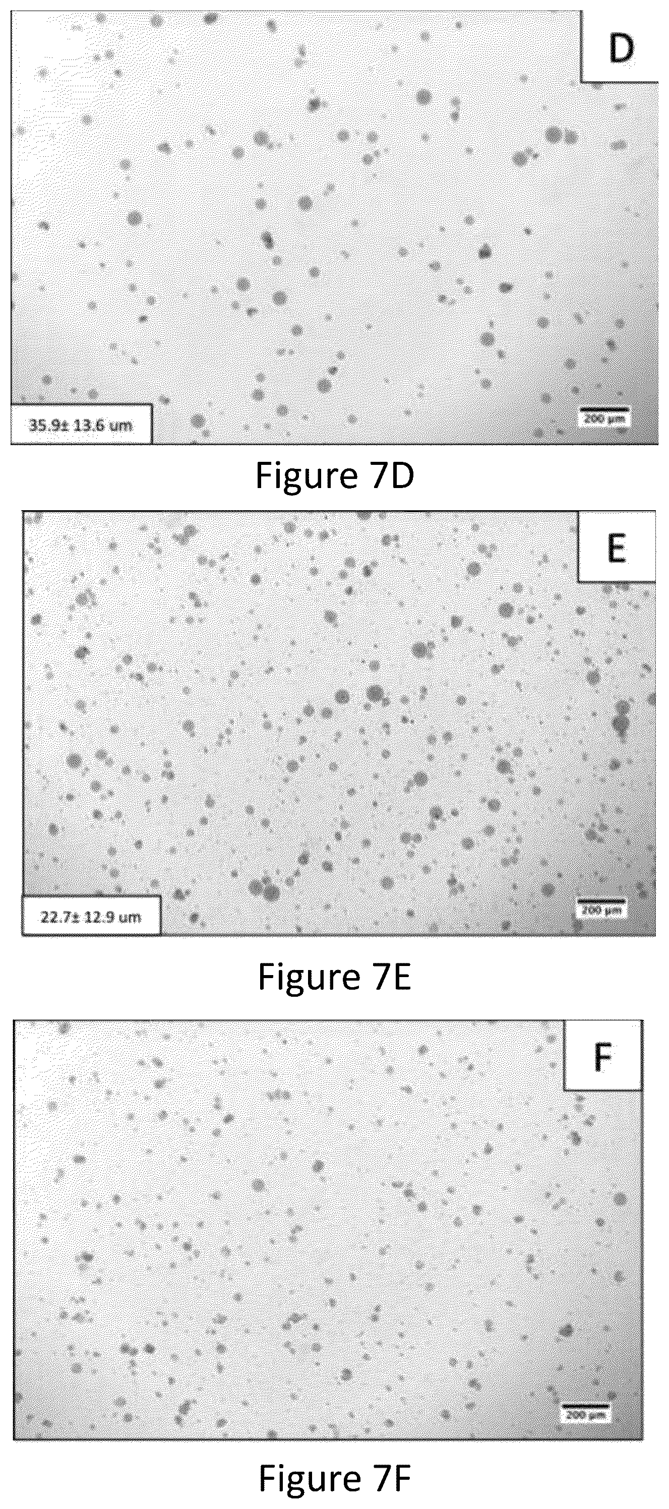 Patent US12167965 Figure 6 – Liquid collagen bioinks and methods to make and use collagen structures