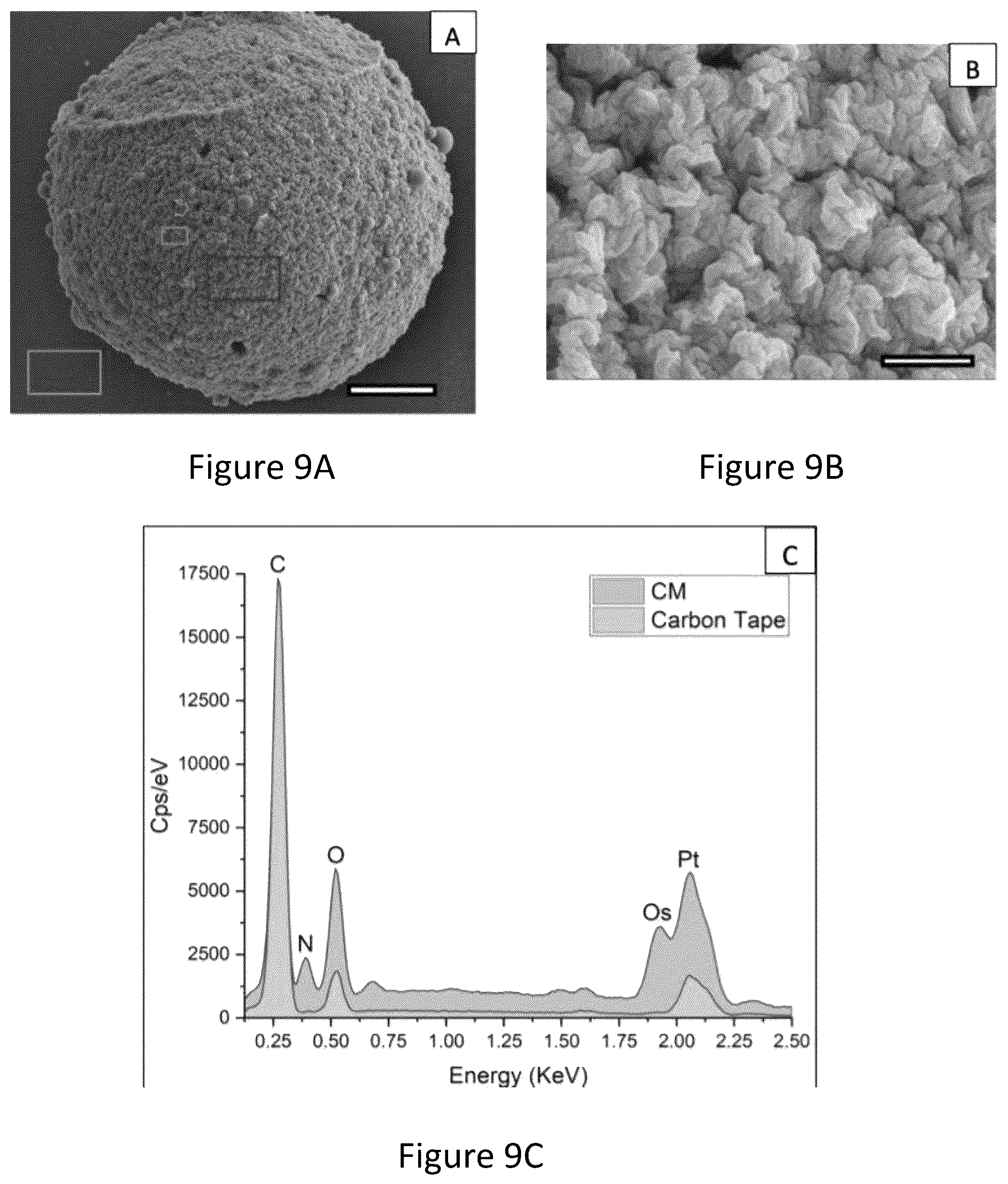 Patent US12167965 Figure 9 – Liquid collagen bioinks and methods to make and use collagen structures