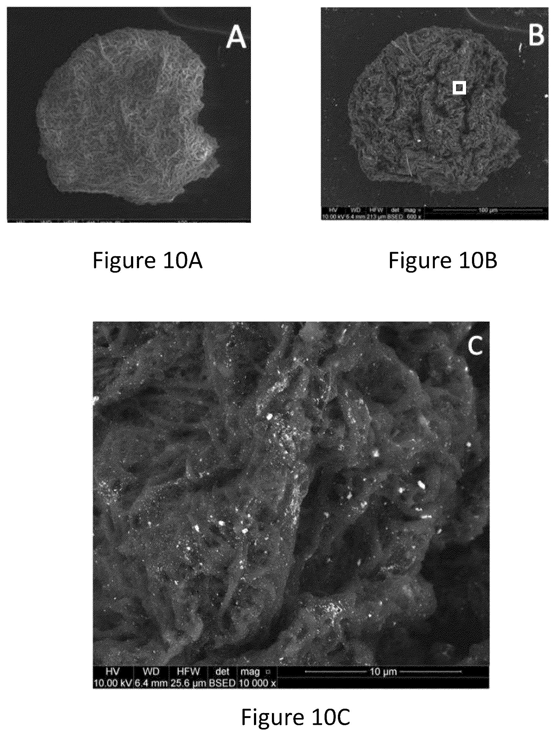 Patent US12167965 Figure 10 – Liquid collagen bioinks and methods to make and use collagen structures