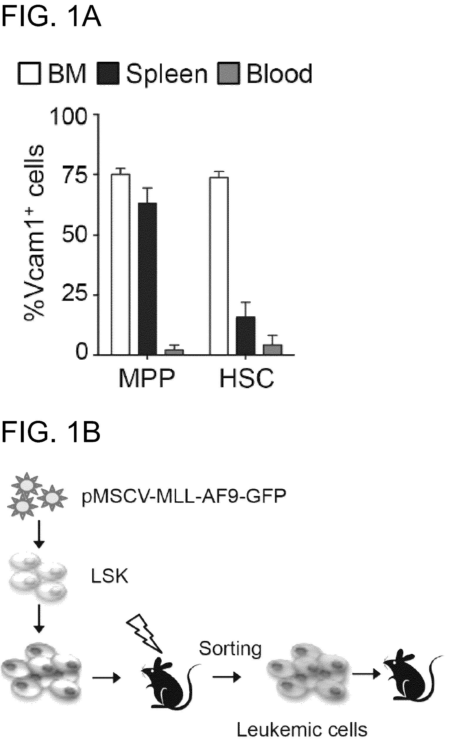Patent US12173073 Figure 1 – Methods of treatment by targeting VCAM1 and MAEA