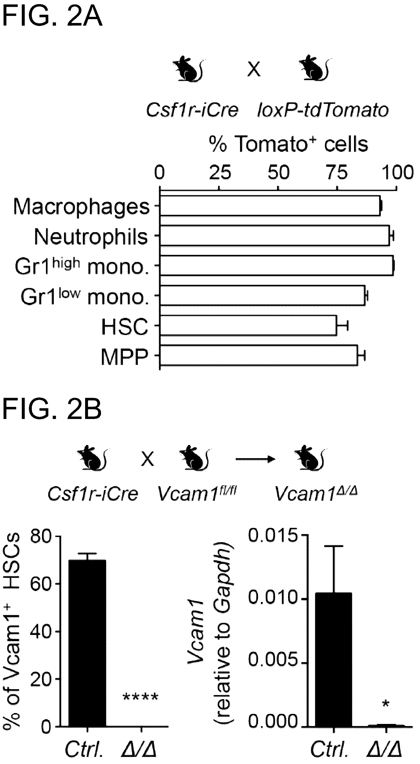 Patent US12173073 Figure 3 – Methods of treatment by targeting VCAM1 and MAEA