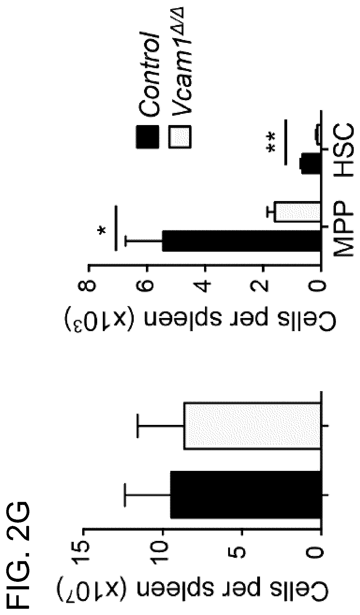 Patent US12173073 Figure 6 – Methods of treatment by targeting VCAM1 and MAEA