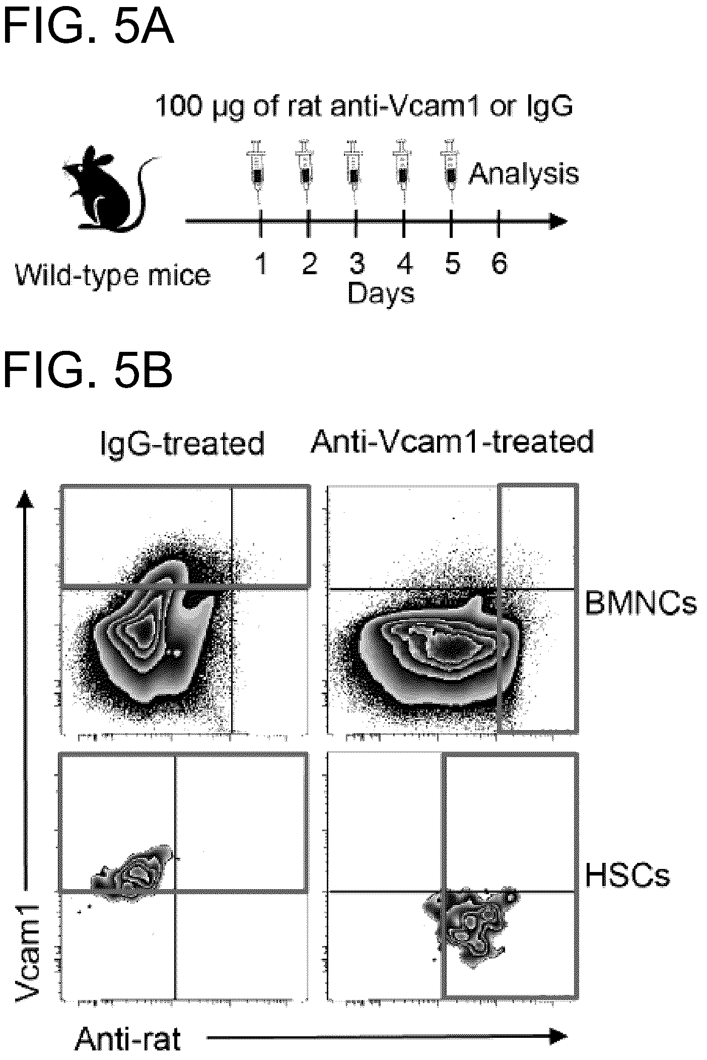 Patent US12173073 Figure 11 – Methods of treatment by targeting VCAM1 and MAEA