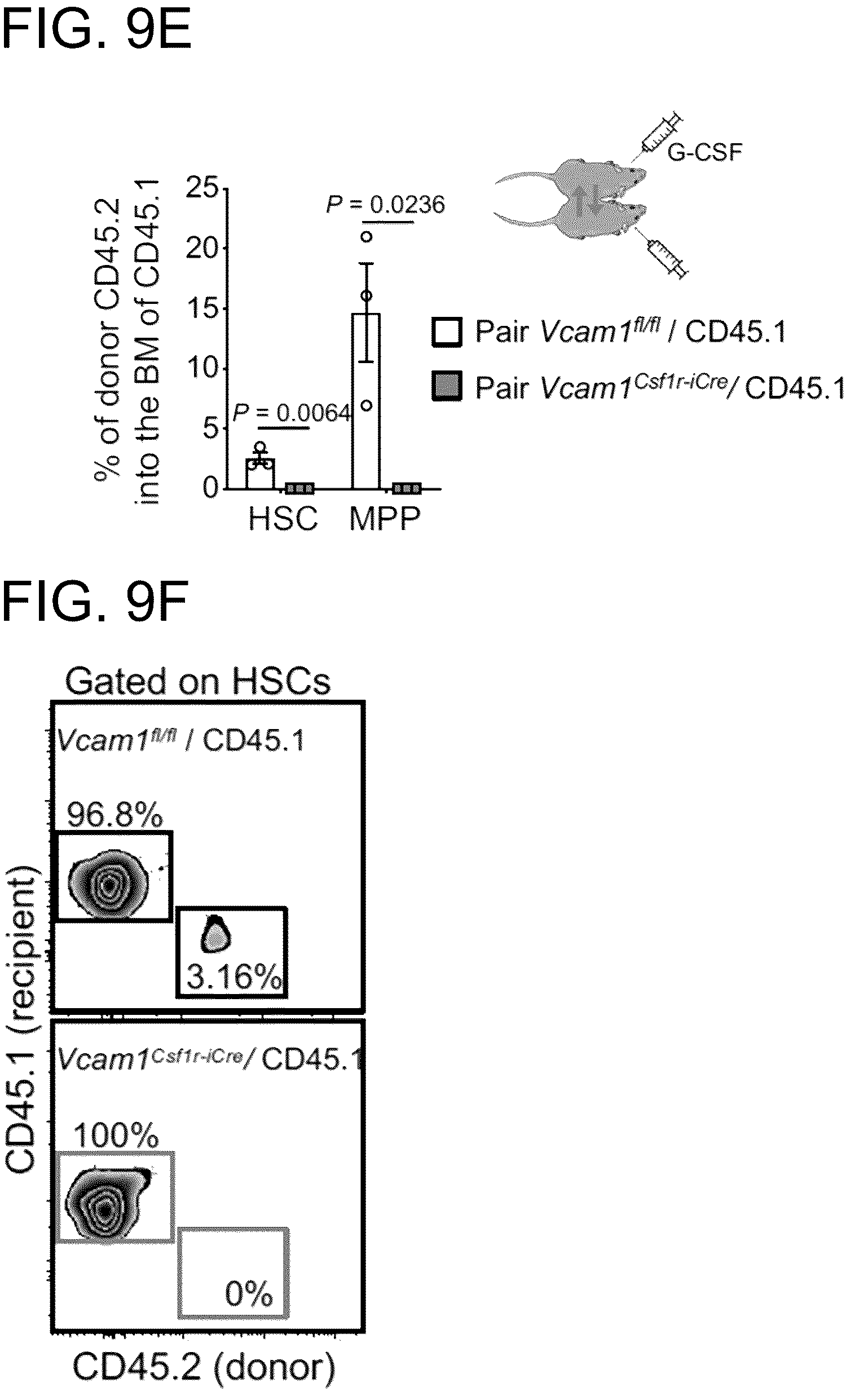 Patent US12173073 Figure 20 – Methods of treatment by targeting VCAM1 and MAEA