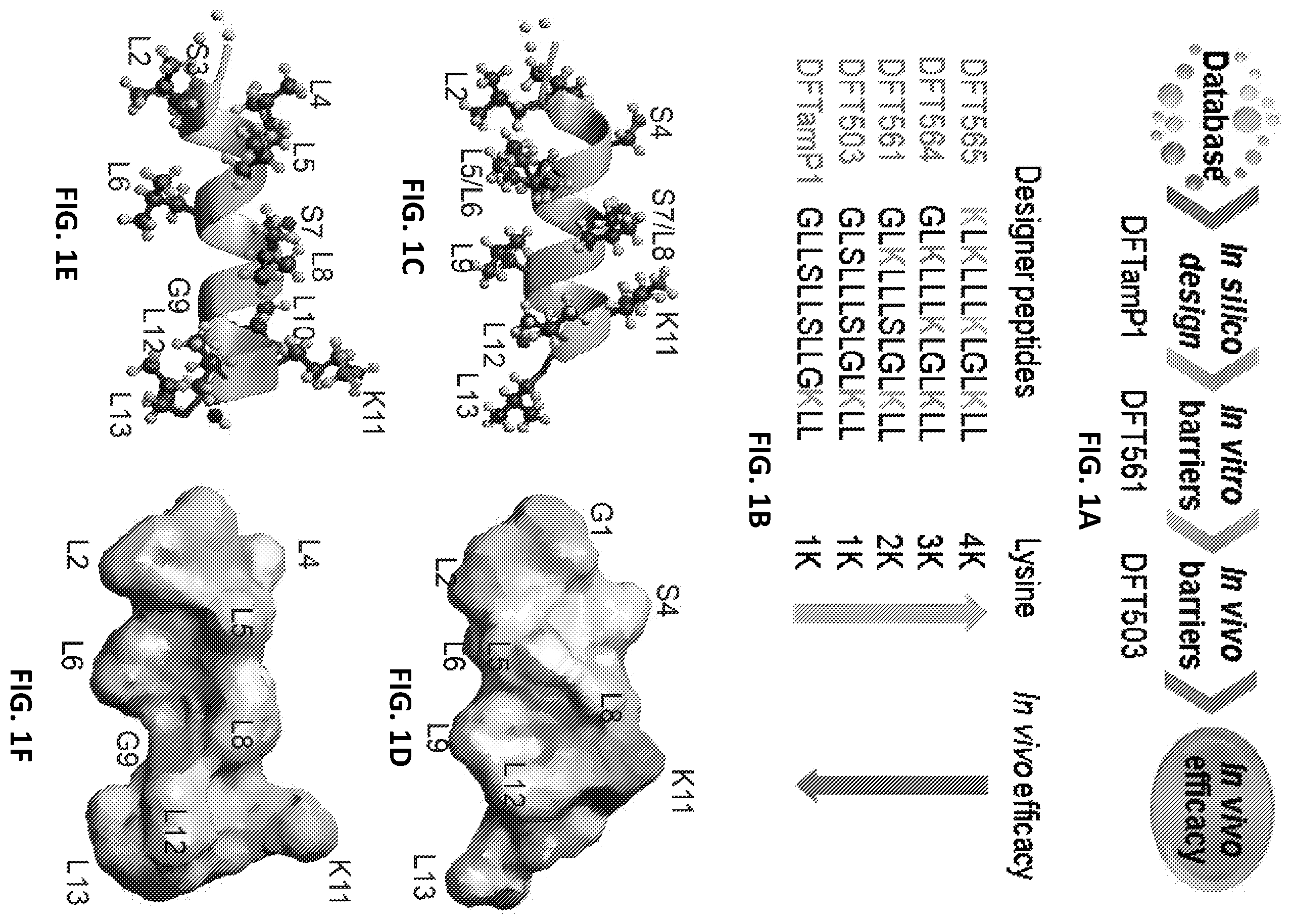 Patent US12173088 Figure 1 – Anti-microbial peptides