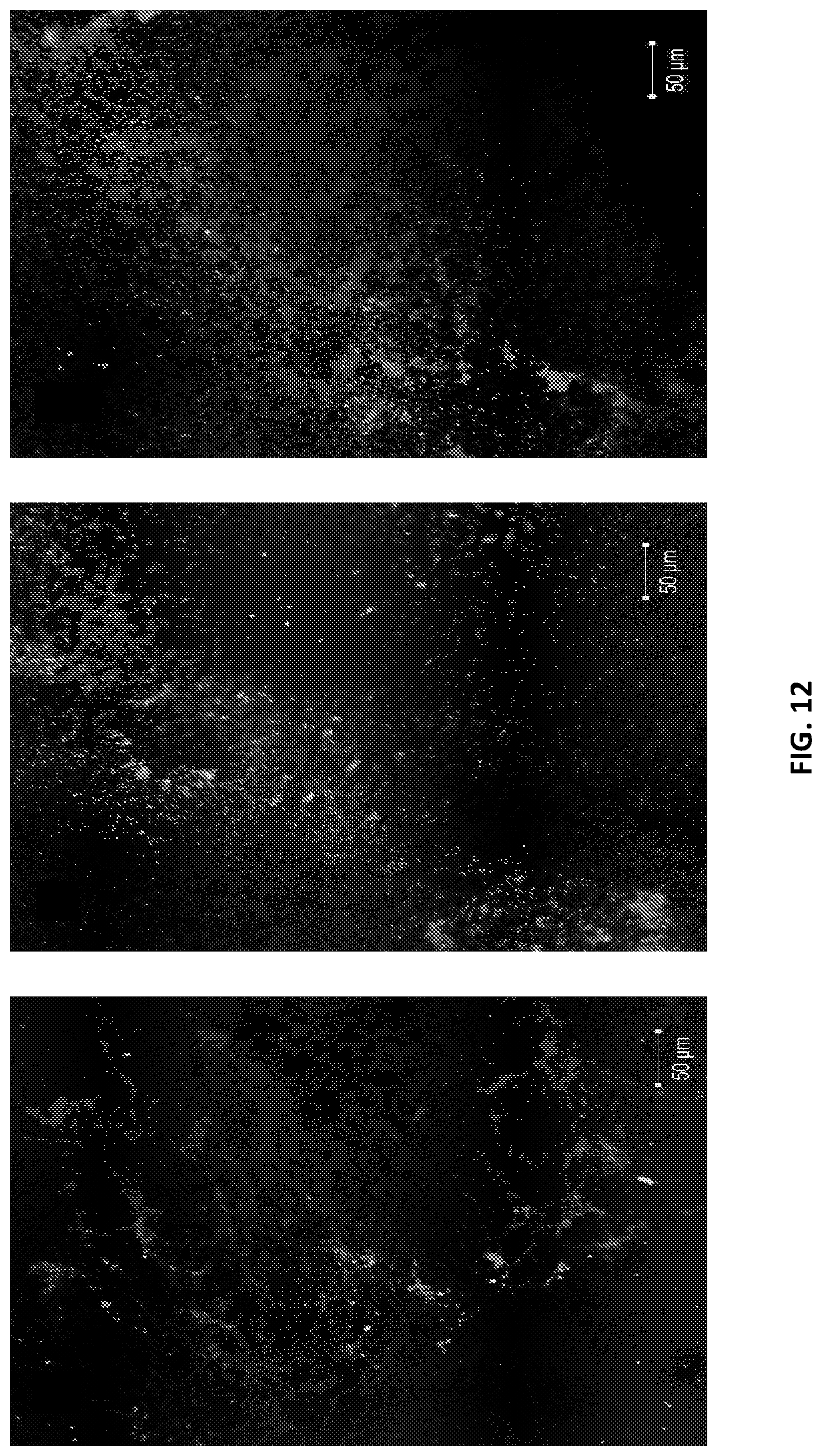 Patent US12173088 Figure 13 – Anti-microbial peptides