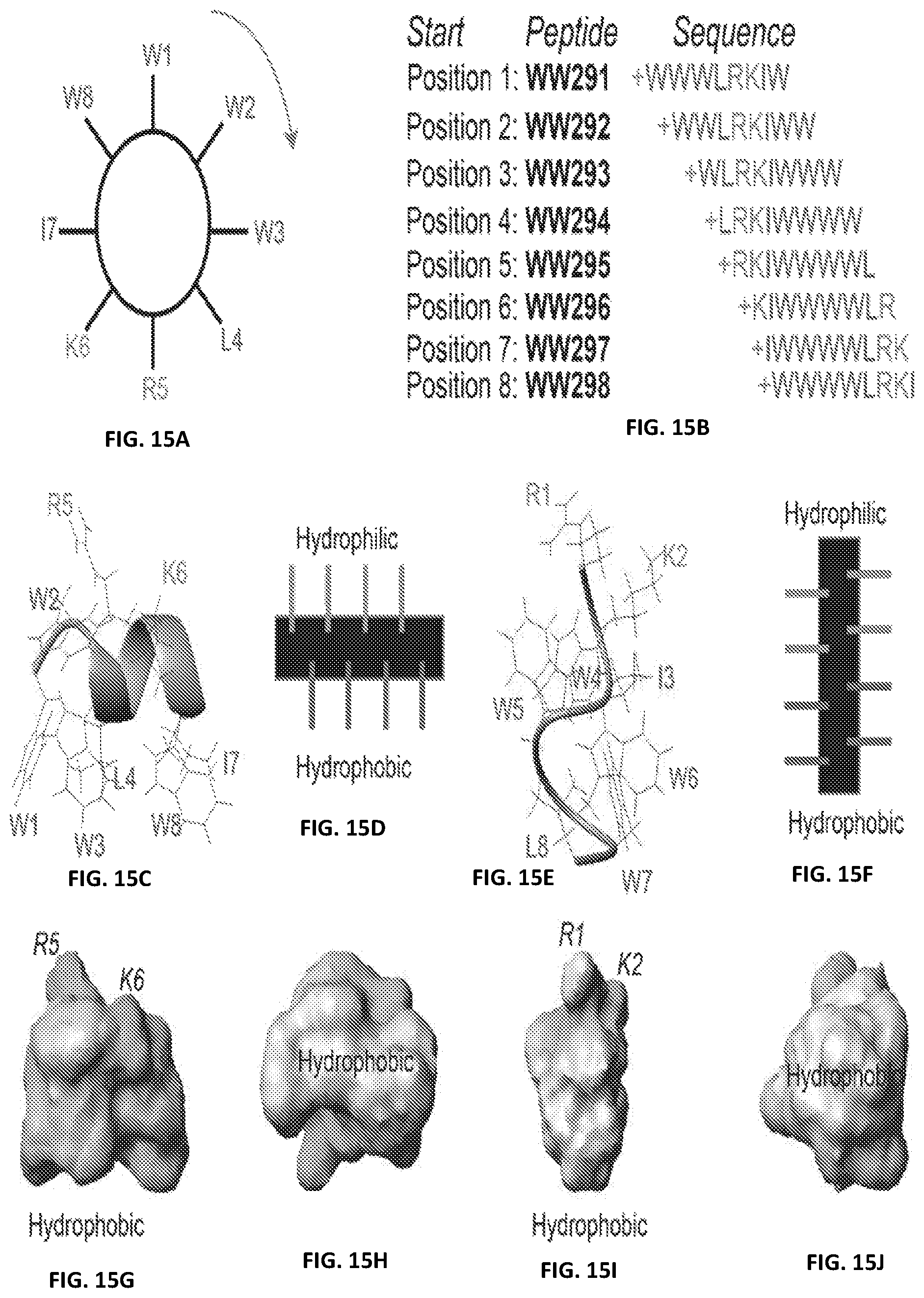 Patent US12173088 Figure 16 – Anti-microbial peptides