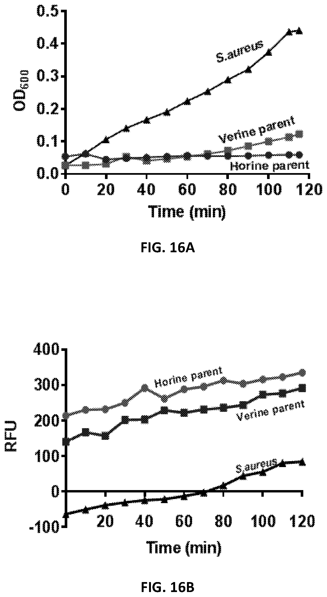 Patent US12173088 Figure 17 – Anti-microbial peptides