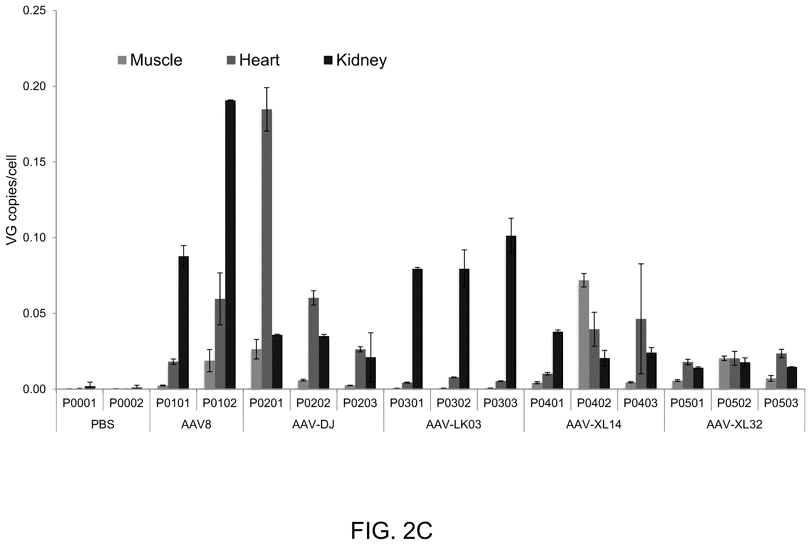 Patent US12173308 Figure 5 – Human PAH expression cassette for treatment of PKU by liver-directed gene replacement therapy