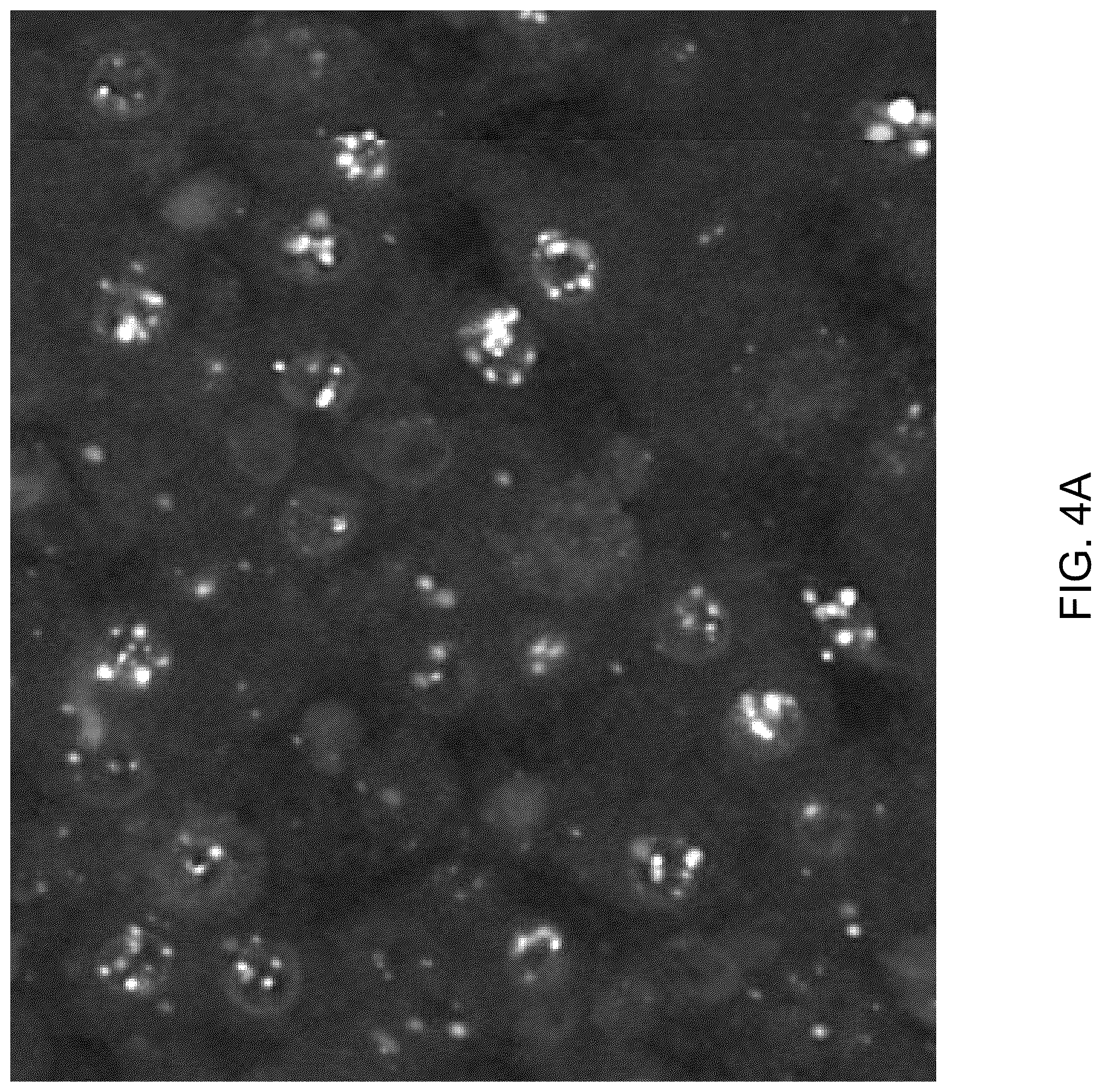Patent US12173308 Figure 11 – Human PAH expression cassette for treatment of PKU by liver-directed gene replacement therapy