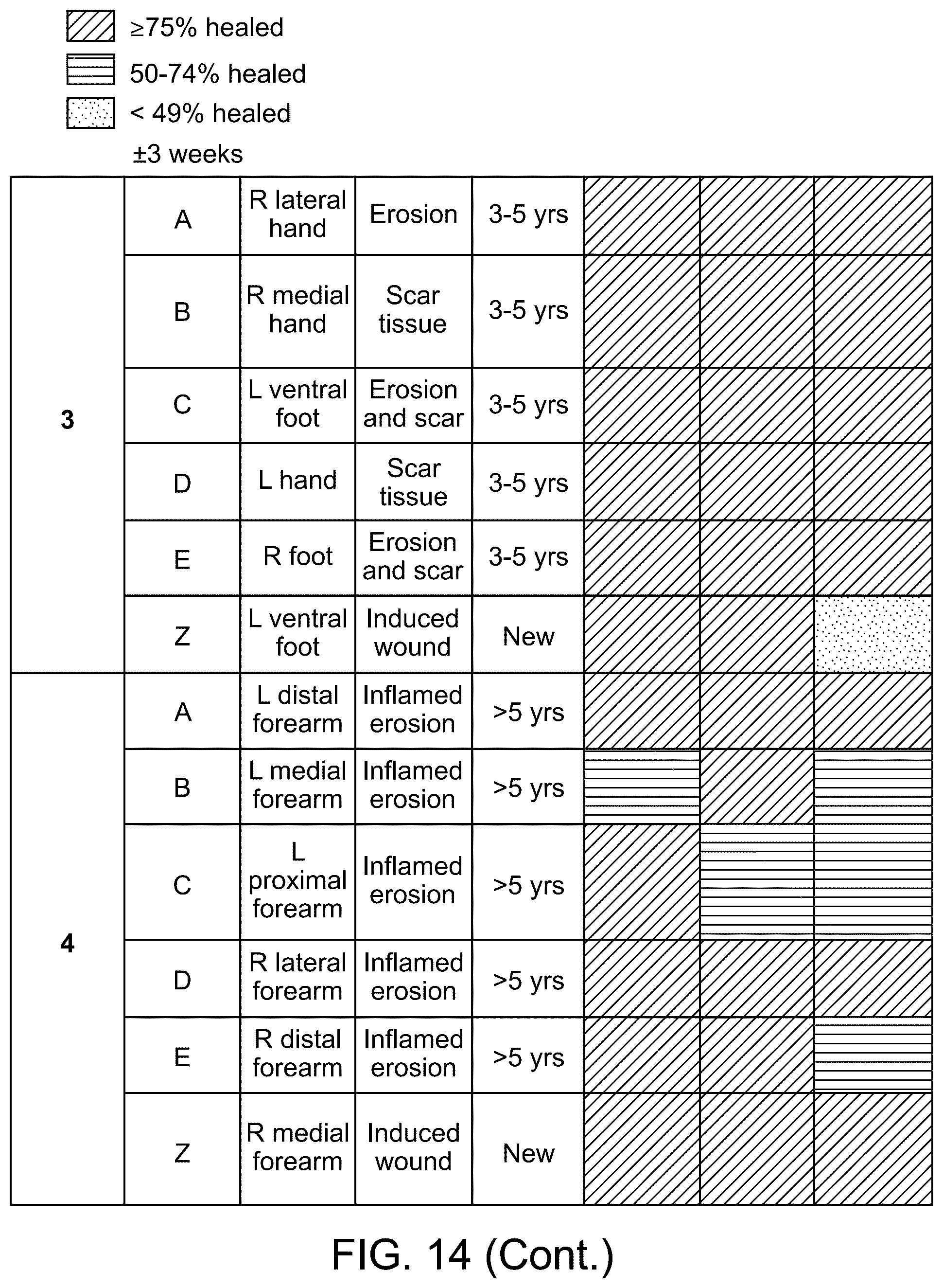 Patent US12173314 Figure 14 – Gene therapy for recessive dystrophic epidermolysis bullosa using genetically corrected autologous keratinocytes
