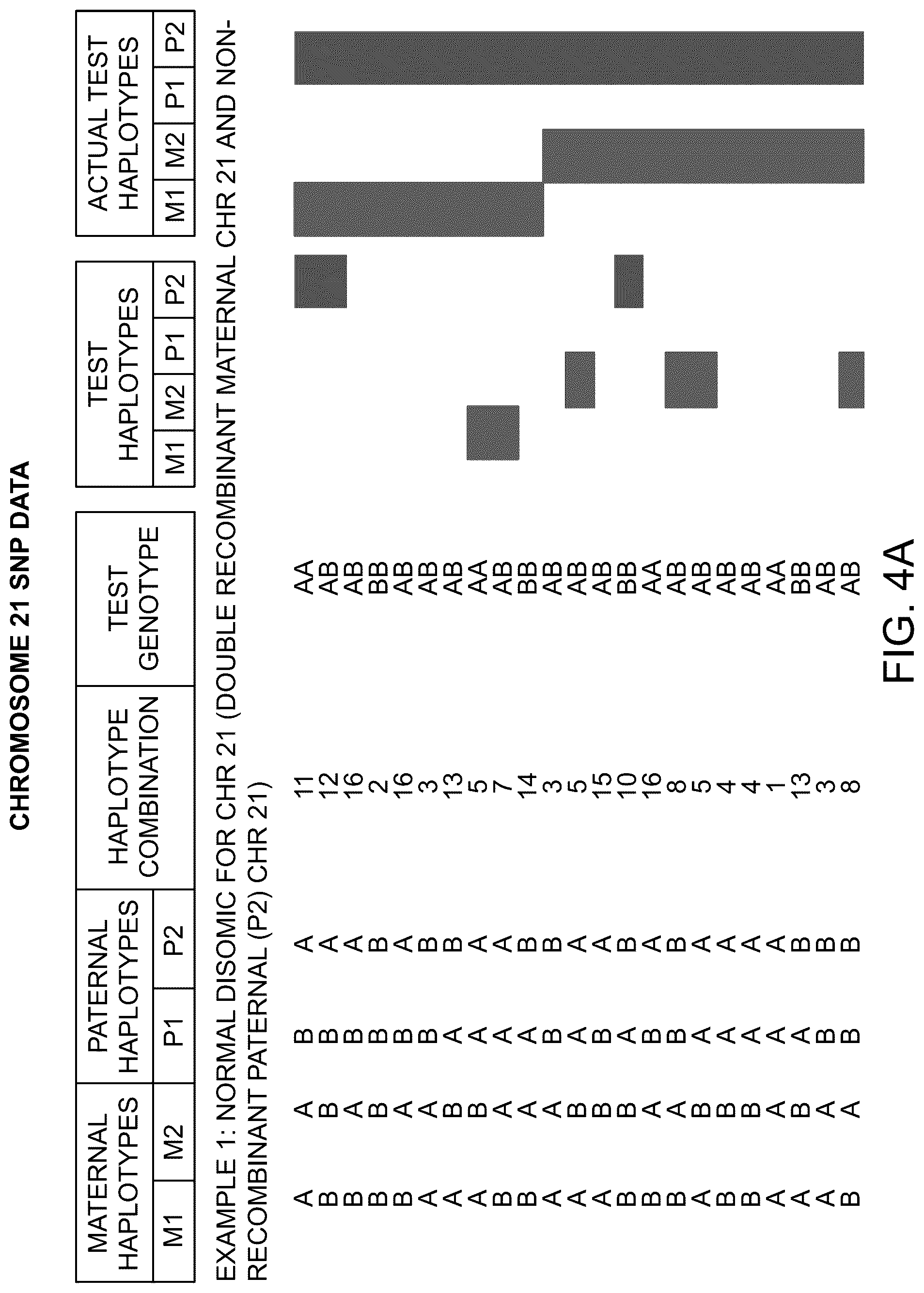 Patent US12173356 Figure 6 – Chromosomal analysis by molecular karyotyping