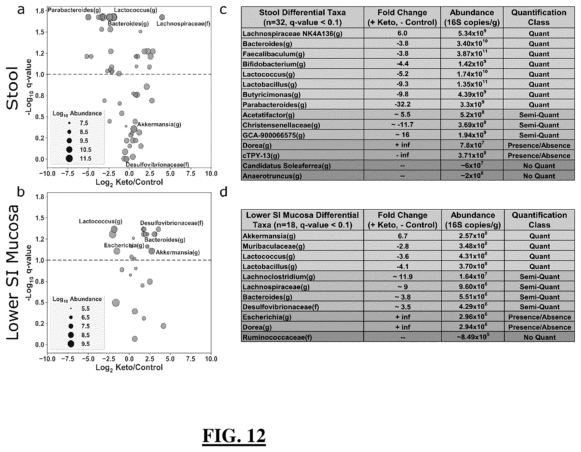 Patent US12173361 Figure 12 – Rodent model and related device, compositions, methods and systems