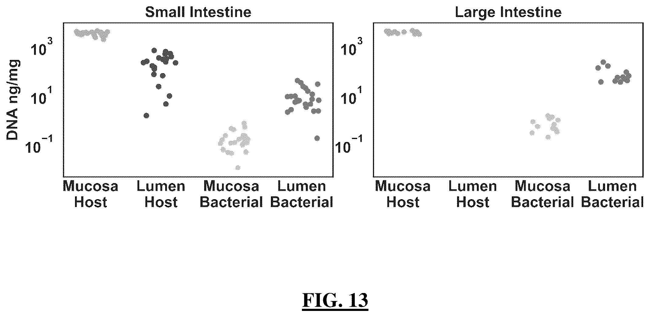Patent US12173361 Figure 13 – Rodent model and related device, compositions, methods and systems